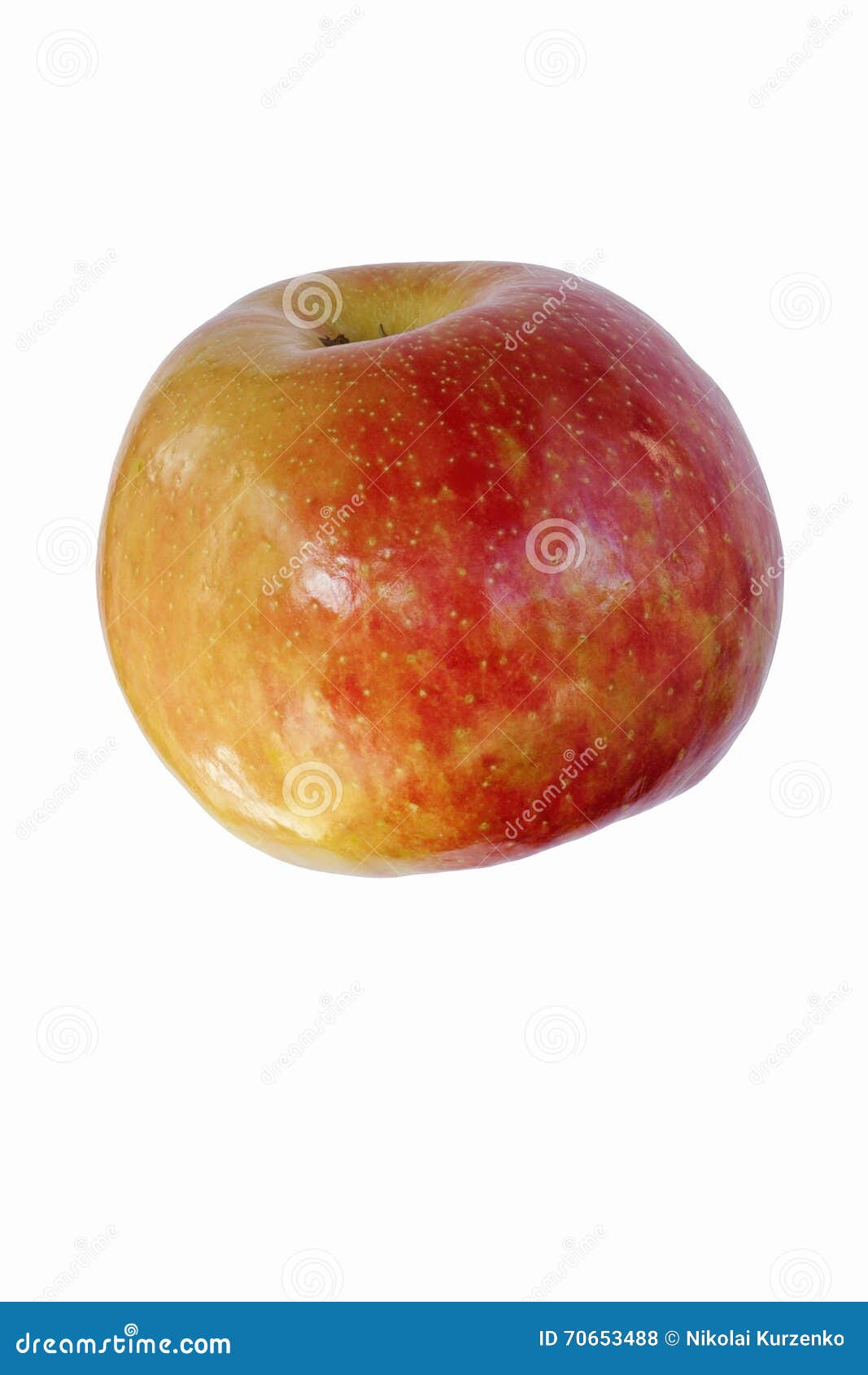 Honeycrisp Apple. Pomme de Honeycrisp (domestica Honeycrisp de Malus) Hybride entre la pomme de Macoun et la pomme de Honeygold Image de pomme simple d'isolement sur le fond blanc
