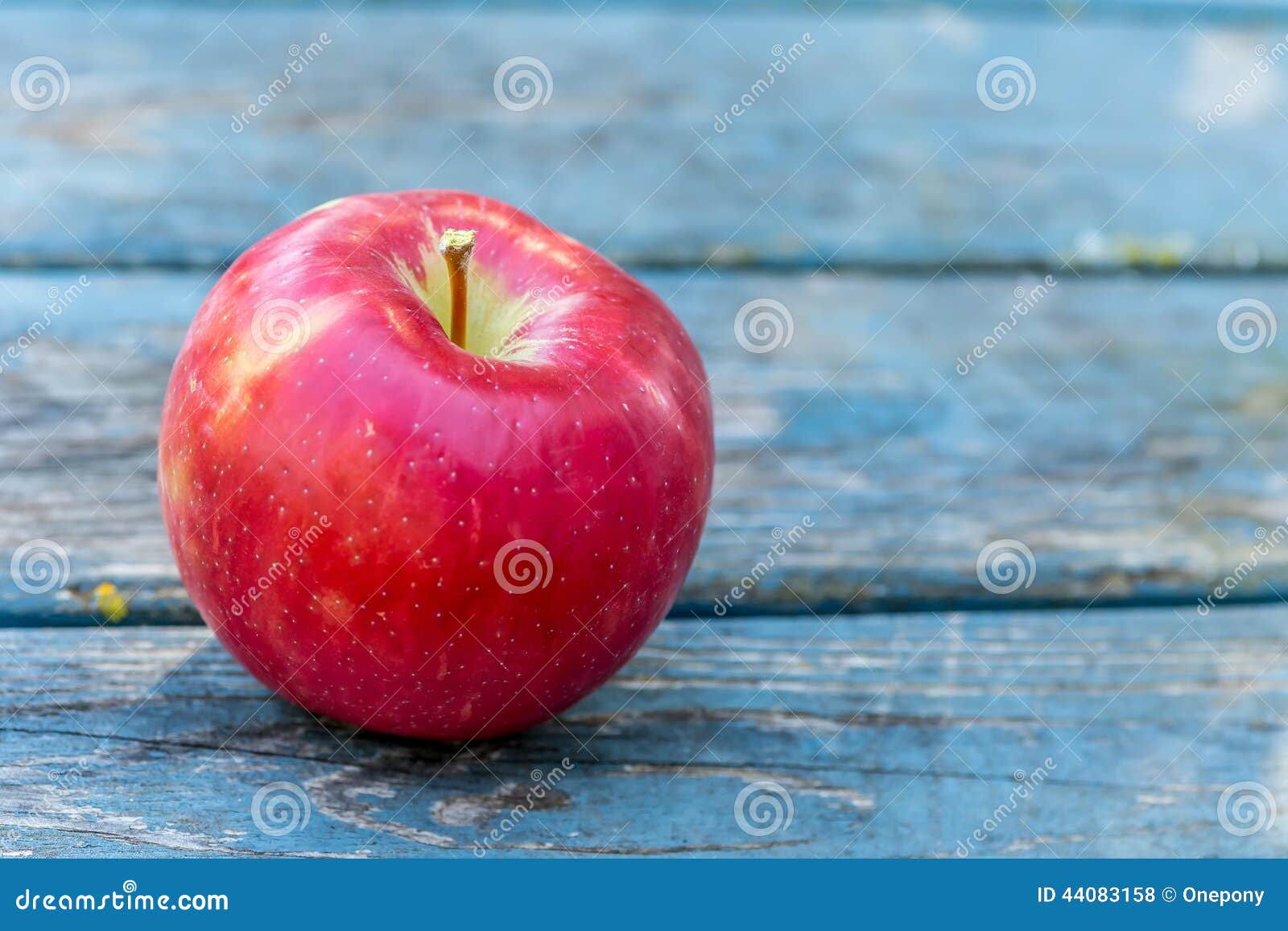 Raw Red Organic Honeycrisp Apples Ready Eat Stock Photo by ©bhofack2  206659498