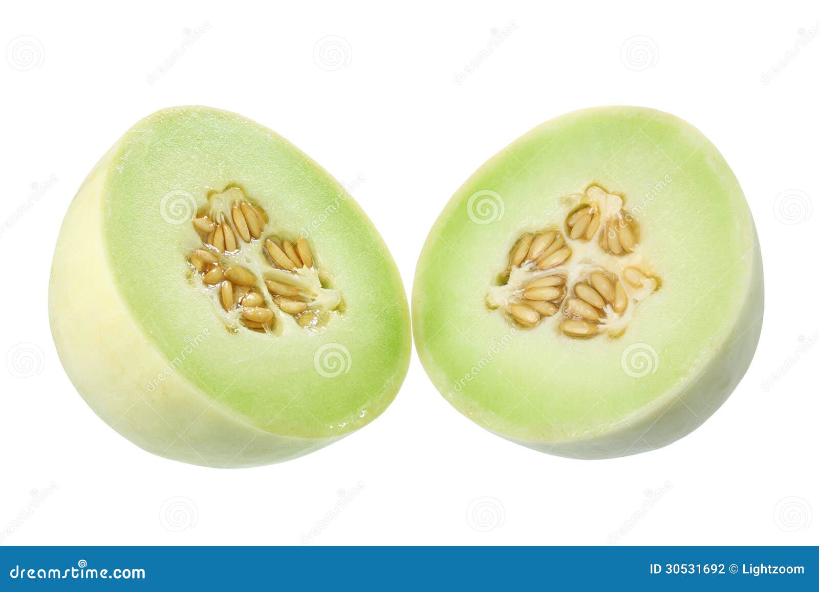 Honeydew Melon stock photo. Image of texture, natural 30531692