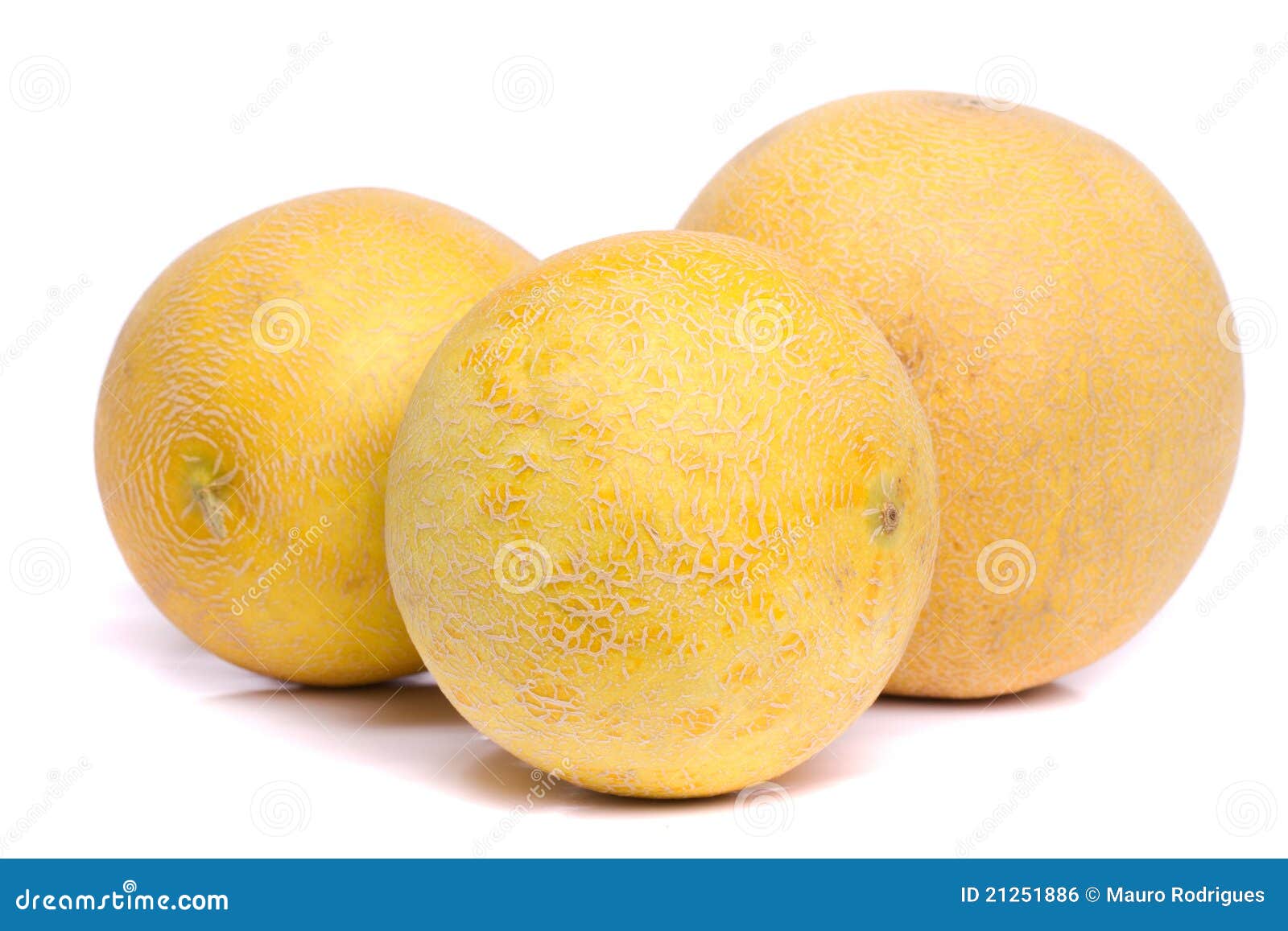 2,385 Honey Dew Melon Stock Photos - Free & Royalty-Free Stock Photos from  Dreamstime