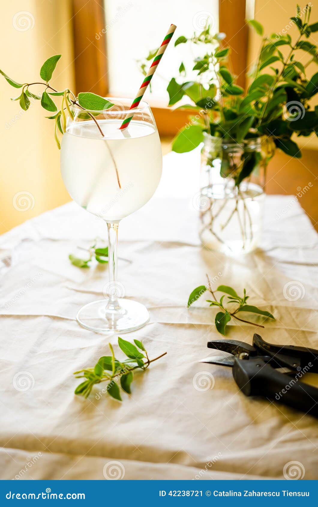 Honeysuckle Lemonade in Glass Stock Image Image of lemonade, honey