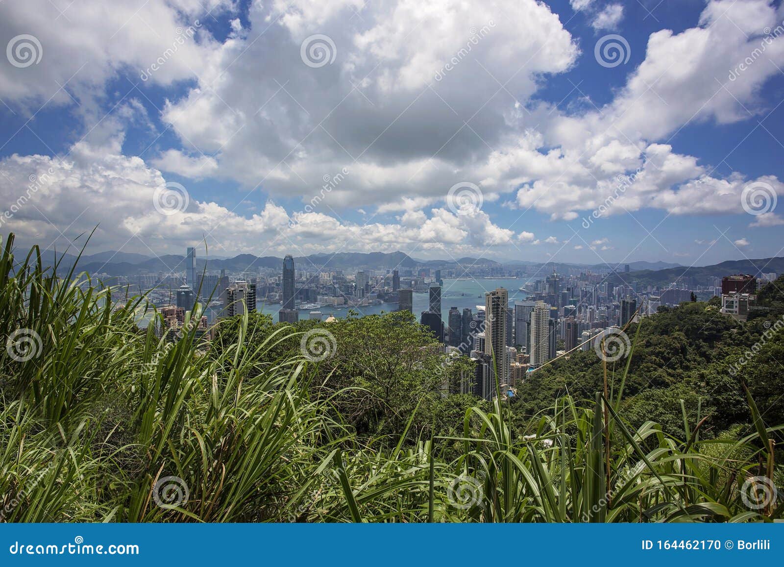 hong kong panorama