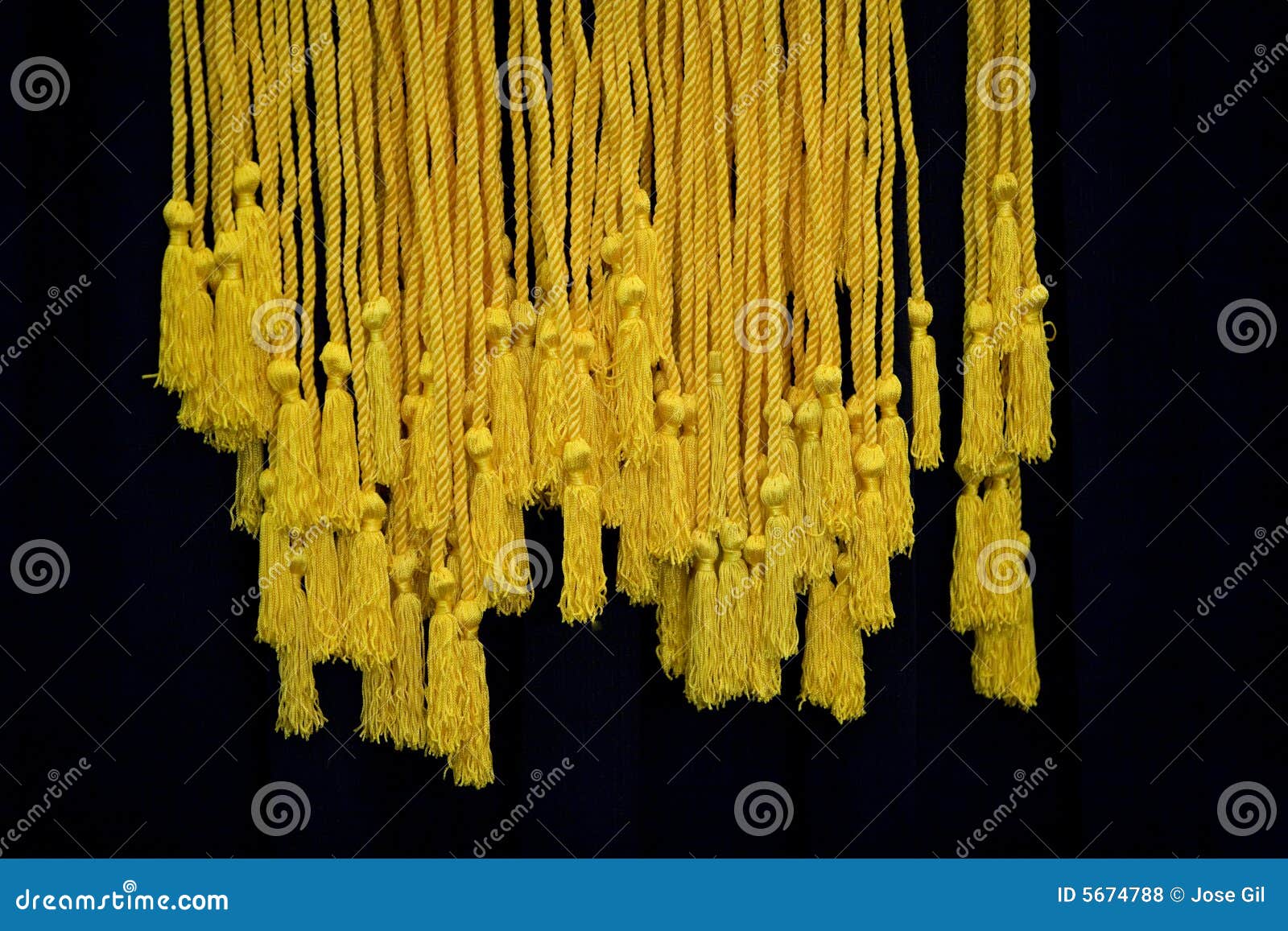 bgs honor cords bgs honor cords