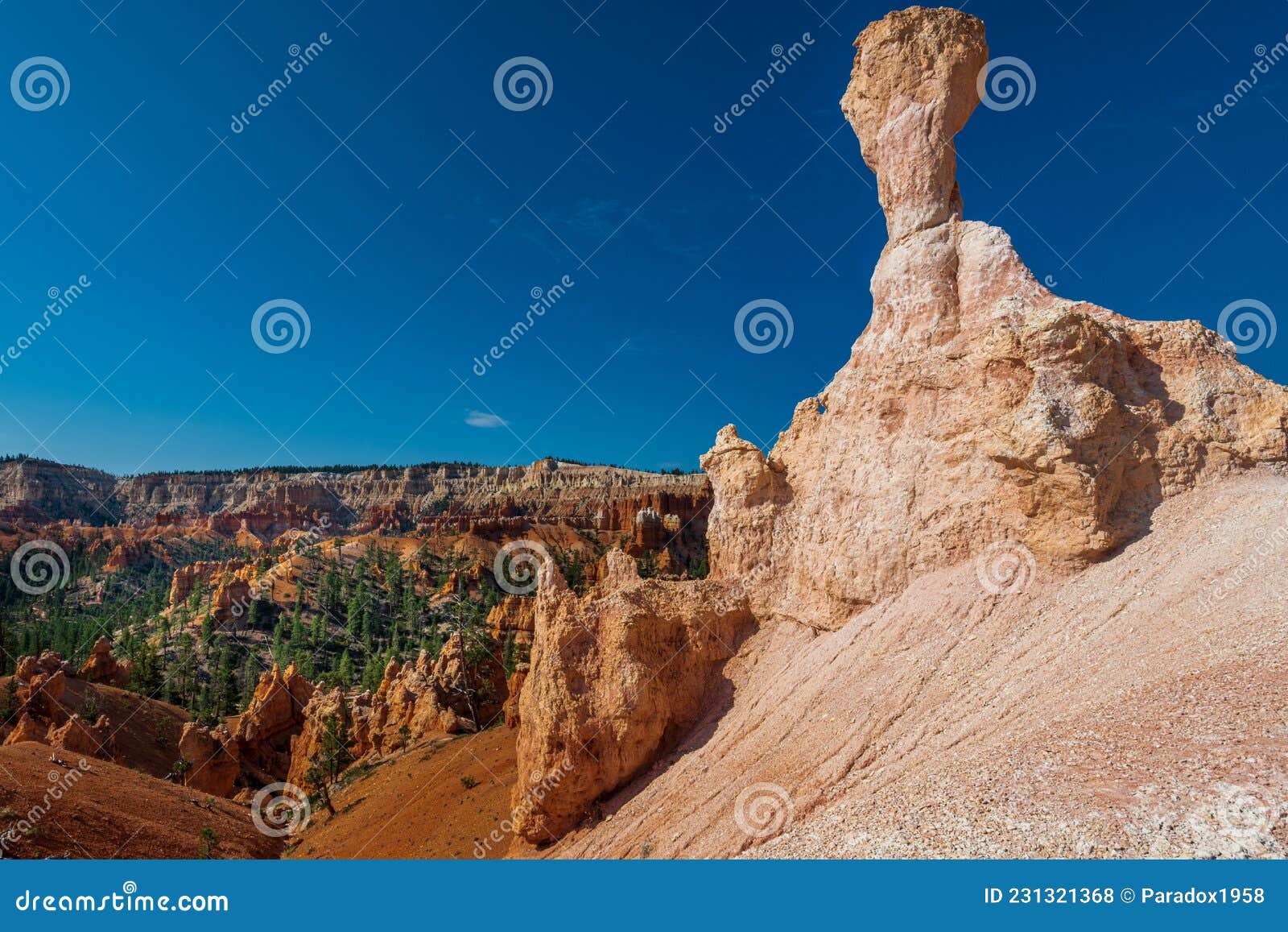 hoo doo`s on the navajo trail in bryce canyon ampitheater