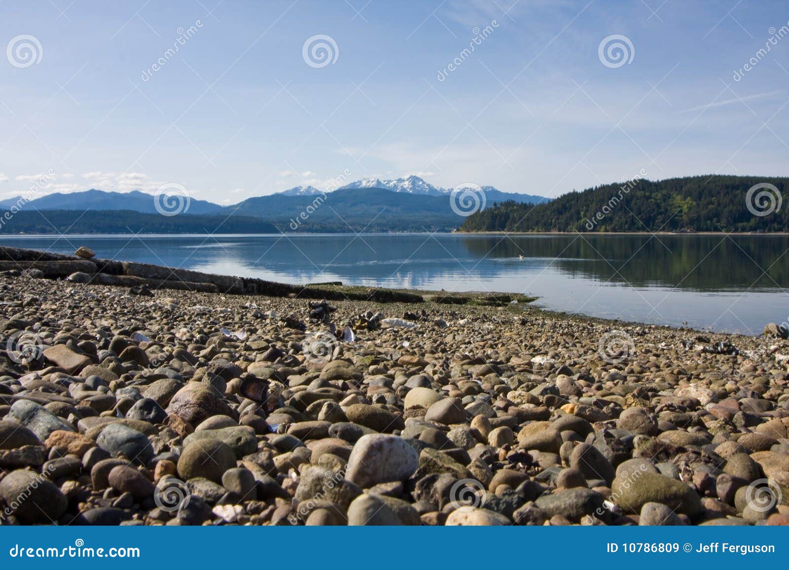 hood canal washington with olympic mountains