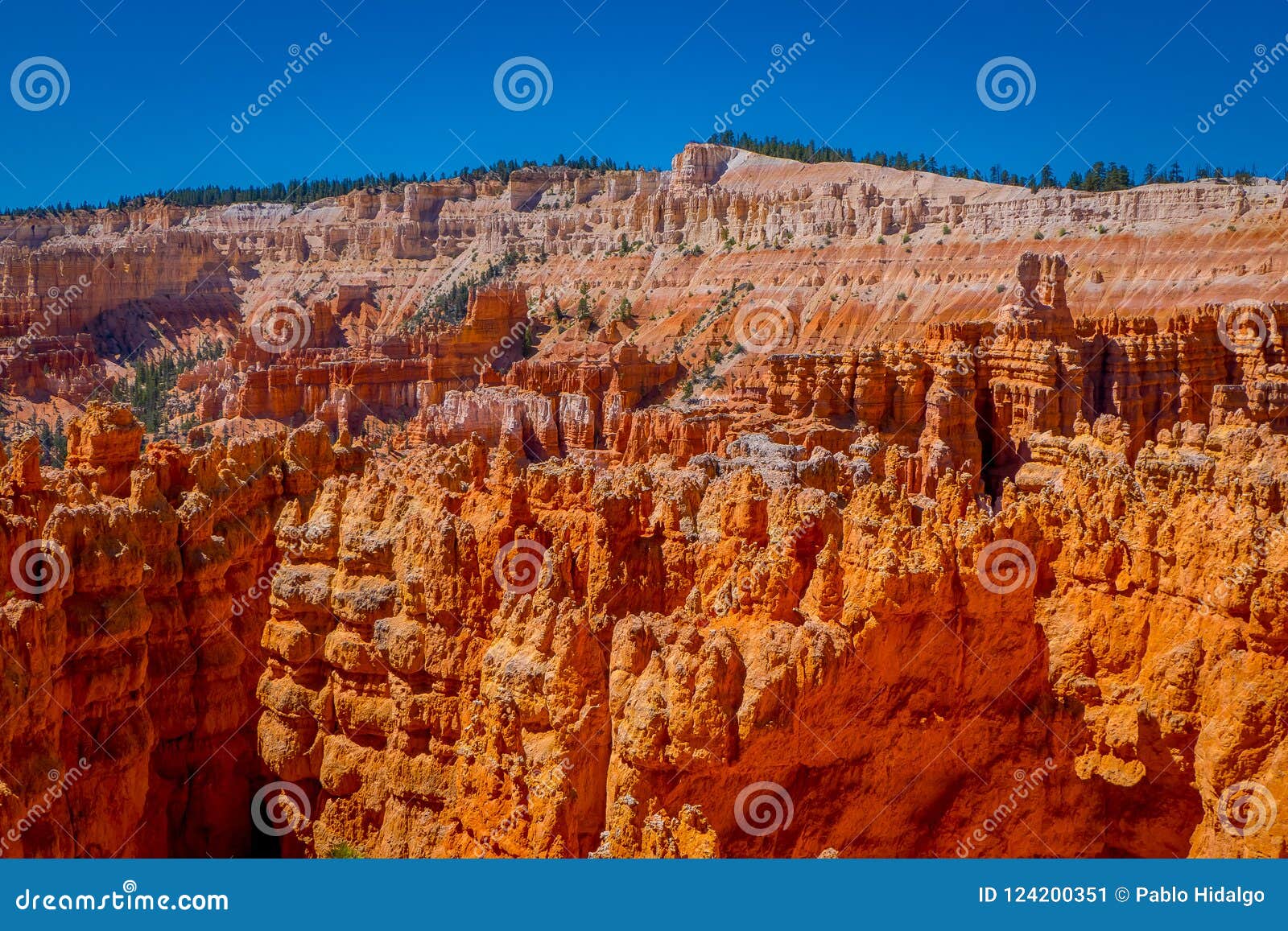 hoodoo landscape of bryce canyon national park