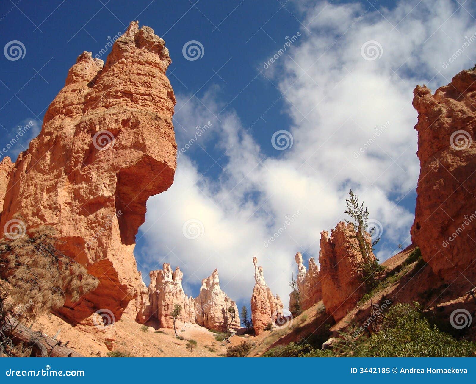 hoodoos in bryce canyon np