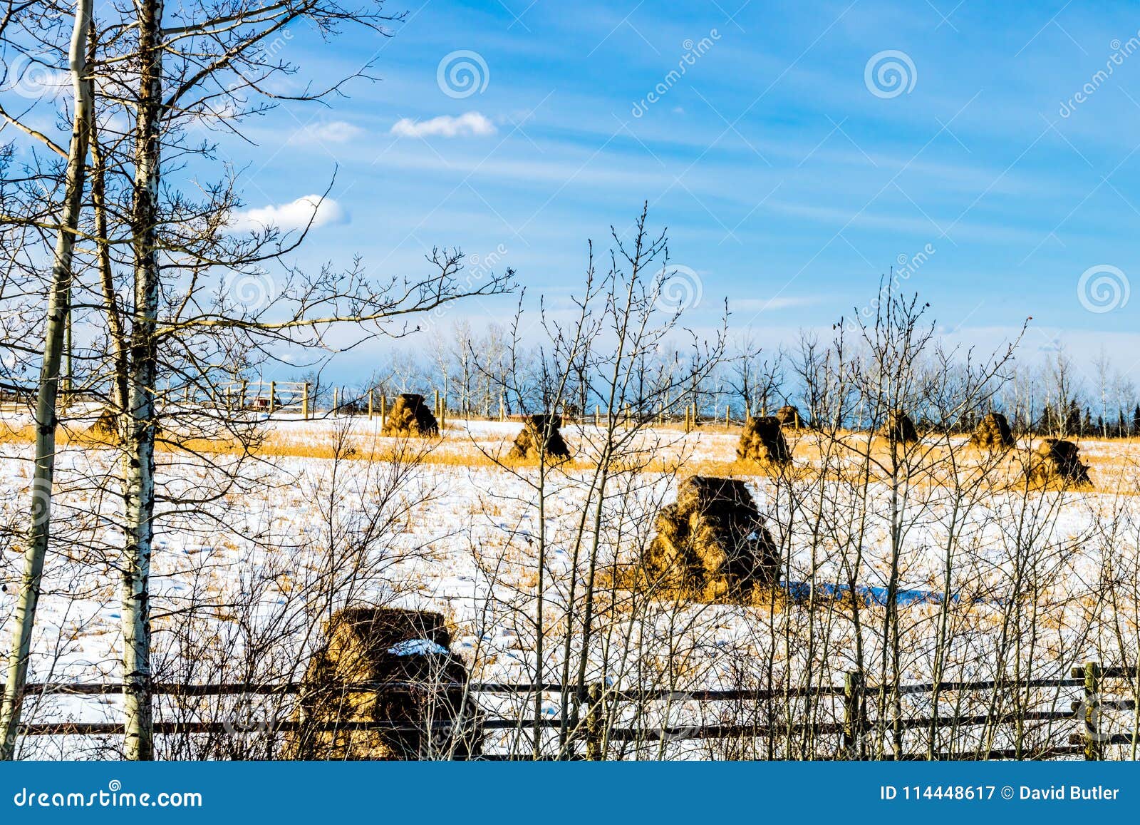 Hooibalen Op Een Sneeuwgebied, Cowboy Trail, Alberta, Canada Stock ...