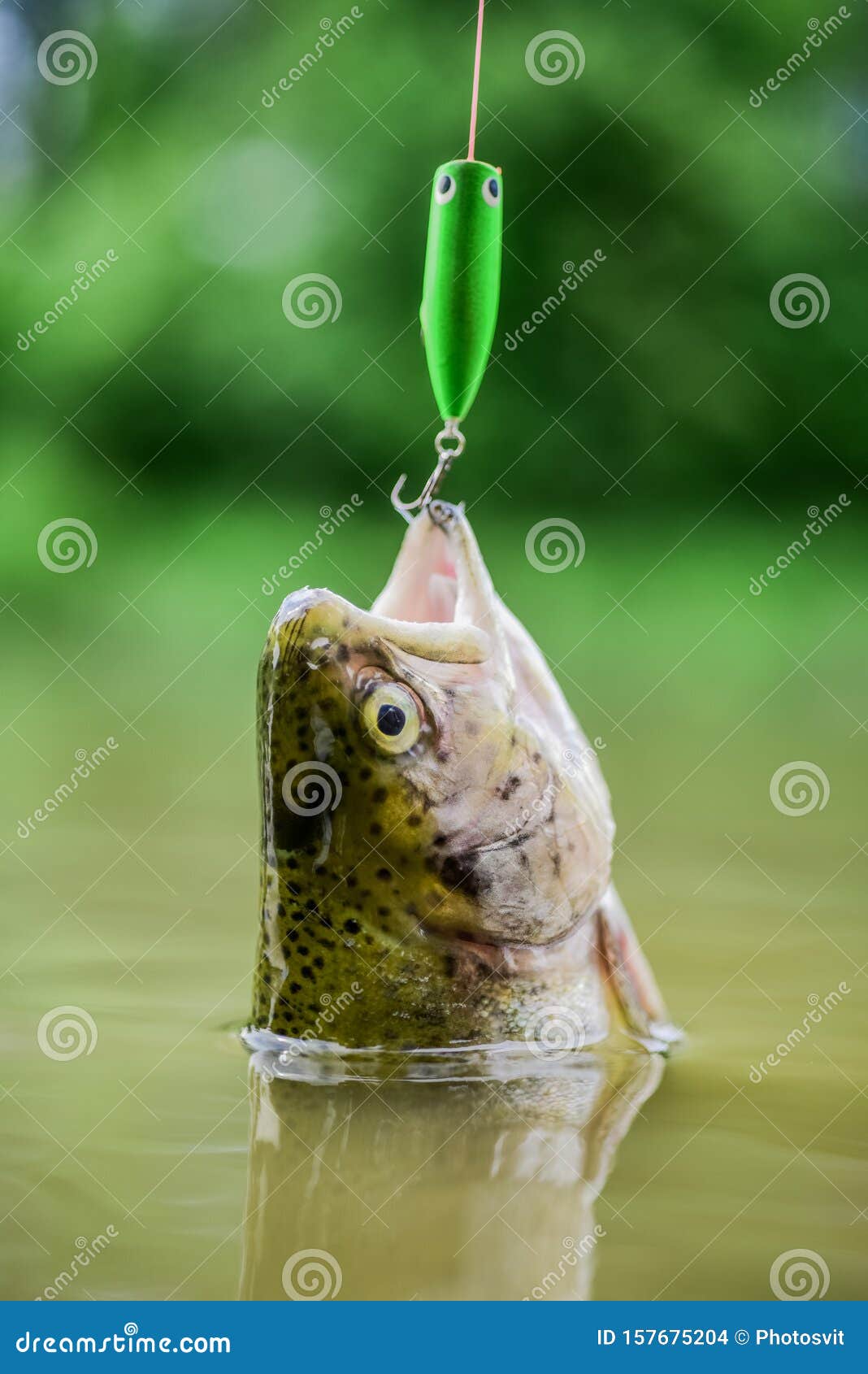 On Hook. Silence Concept. Fish Open Mouth Hang on Hook. Fishing