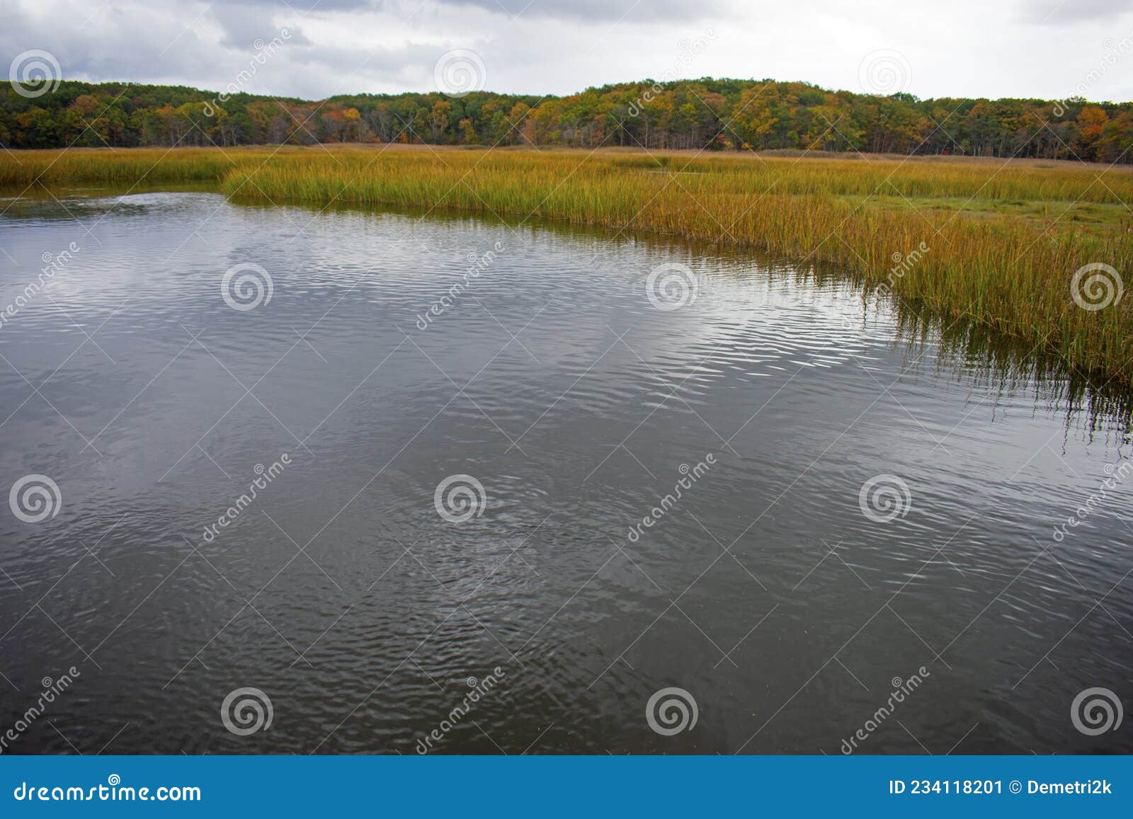 Hooks Creek at the Crabbing Bridge -05 Stock Image - Image of lavels,  colors: 234118201