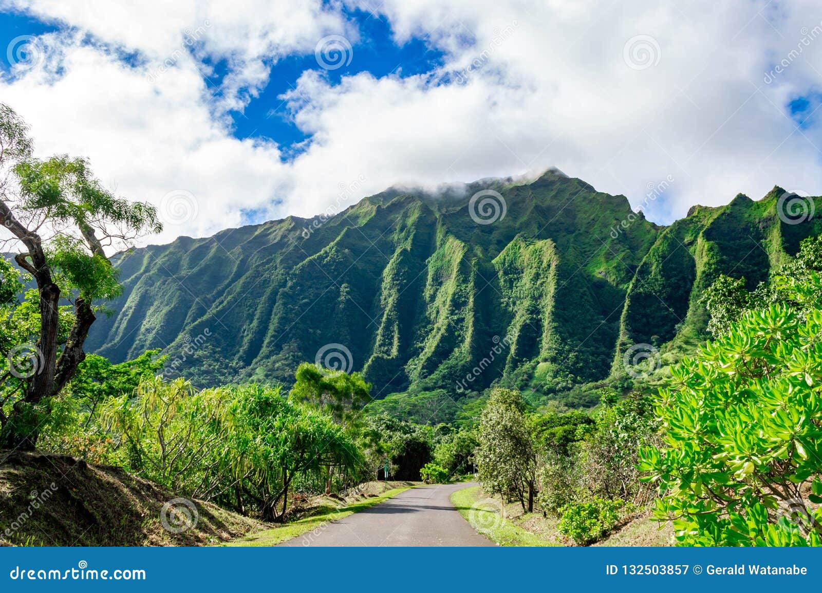 Hoomaluhia Botanical Gardens Peace And Tranquility Stock Image