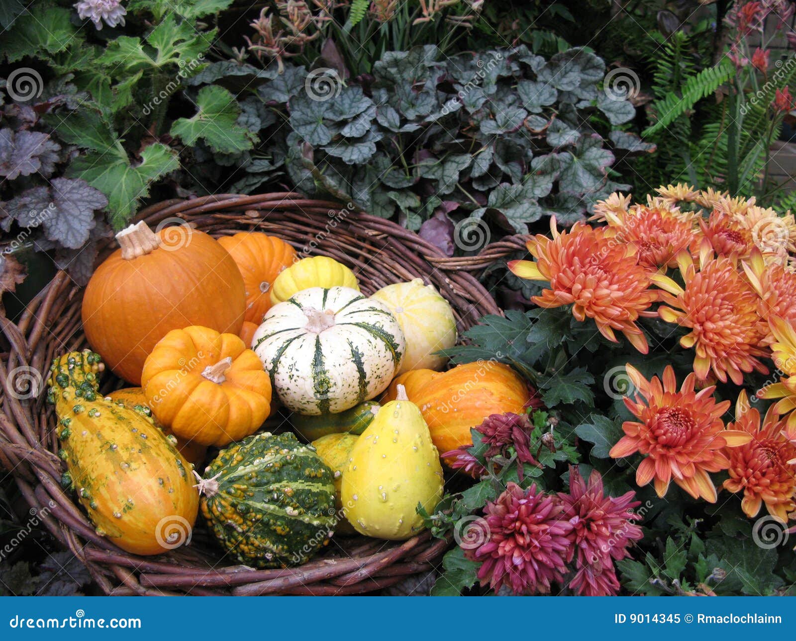 thumbnail: Amosfun Hoorn Des Overvloeds Mand - Rieten Serveerschaal Voor Thanksgiving Of Kerst