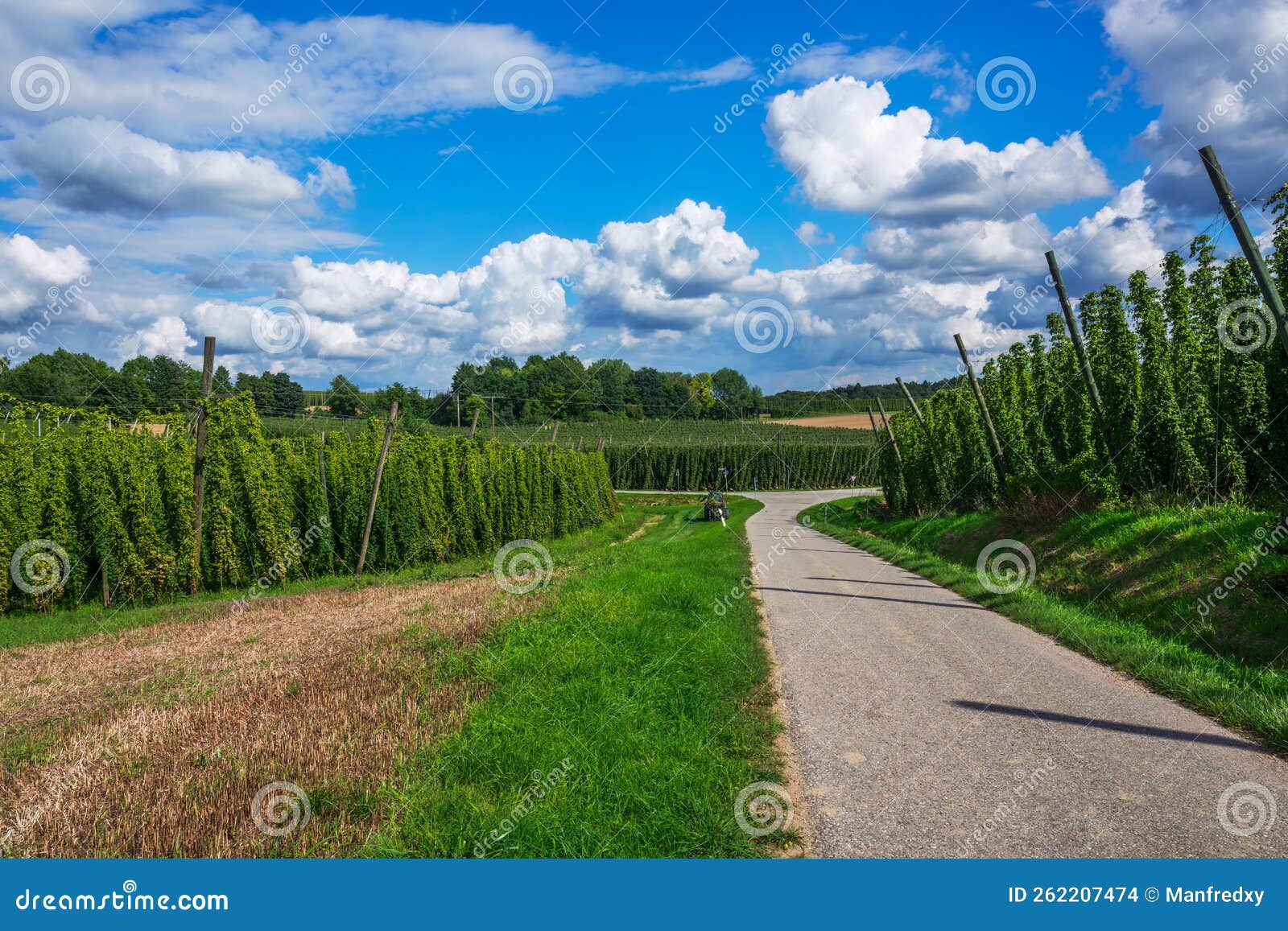 hop garden in bavaria