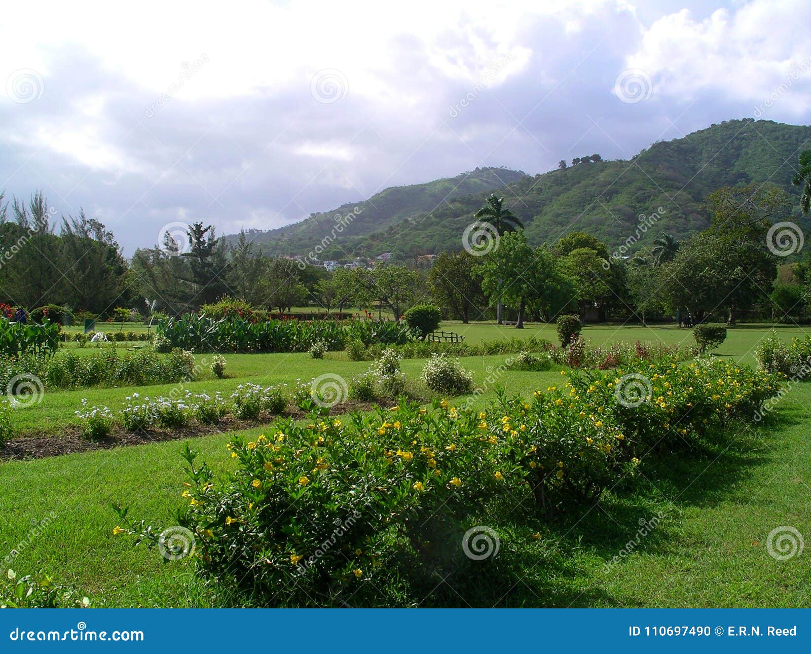 Hope Gardens In Front Of Hills Stock Photo Image Of Grass