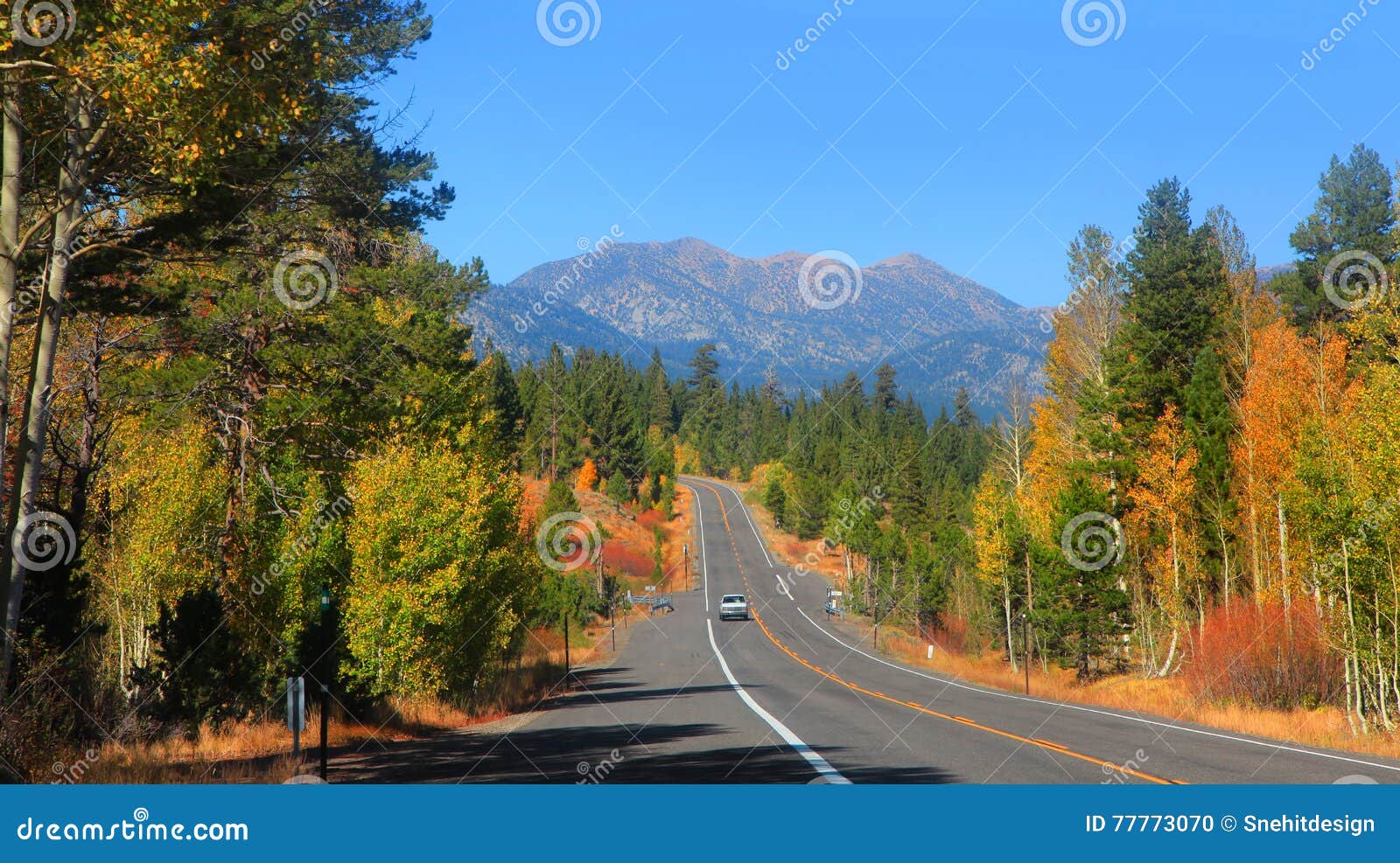 Hope valley, California stock photo. Image of hope, tree 77773070