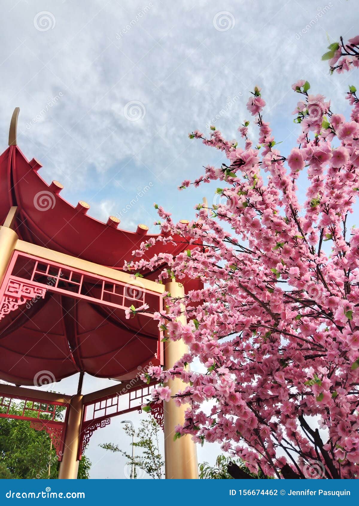 Cherry blossoms philippines 32 Days