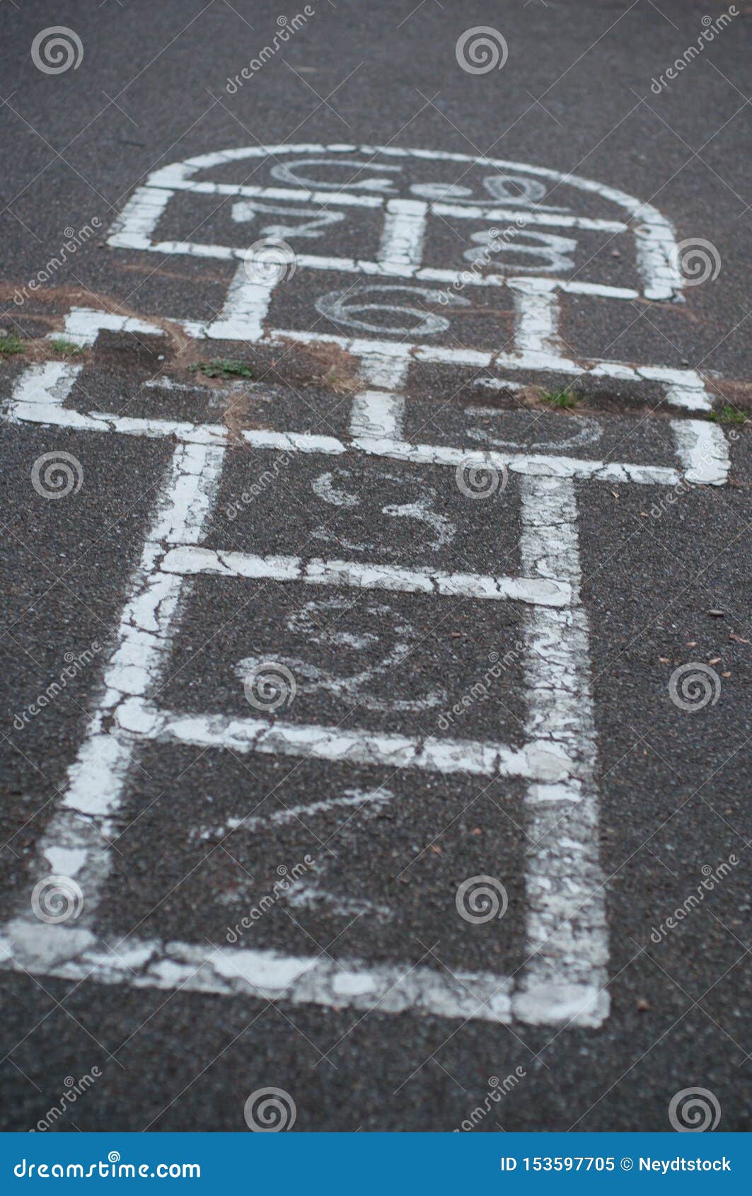 Hoppa Hage Pa Golvet Fotografering For Bildbyraer Bild Av Trottoar