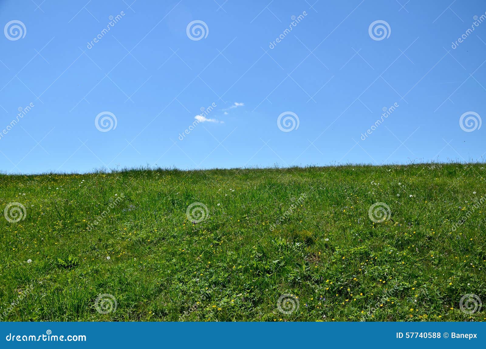 Horizon Green Meadow and Blue Sky Stock Photo Image of horizon