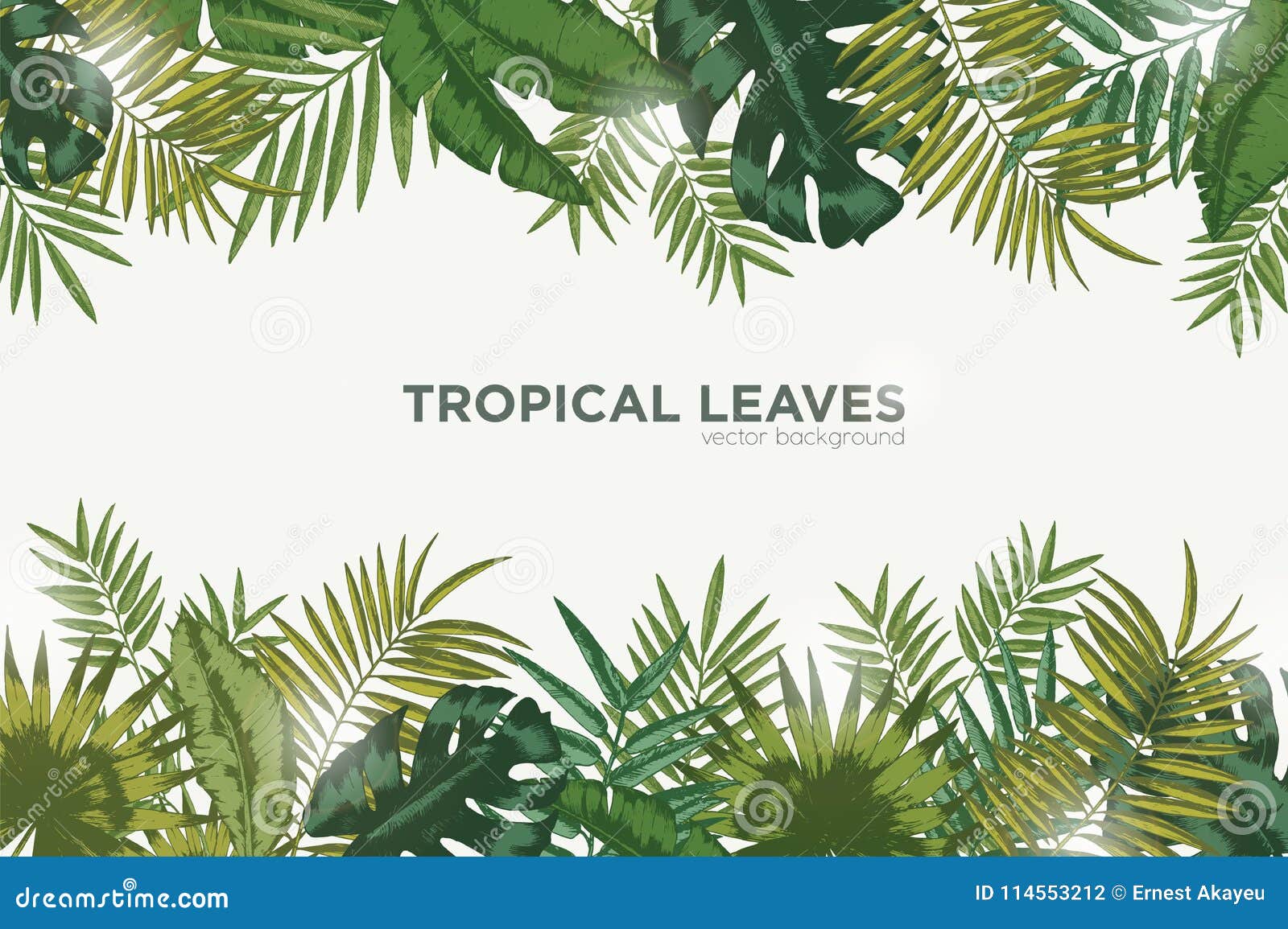 horizontal background with green leaves of tropical palm tree, banana and monstera. elegant backdrop decorated with