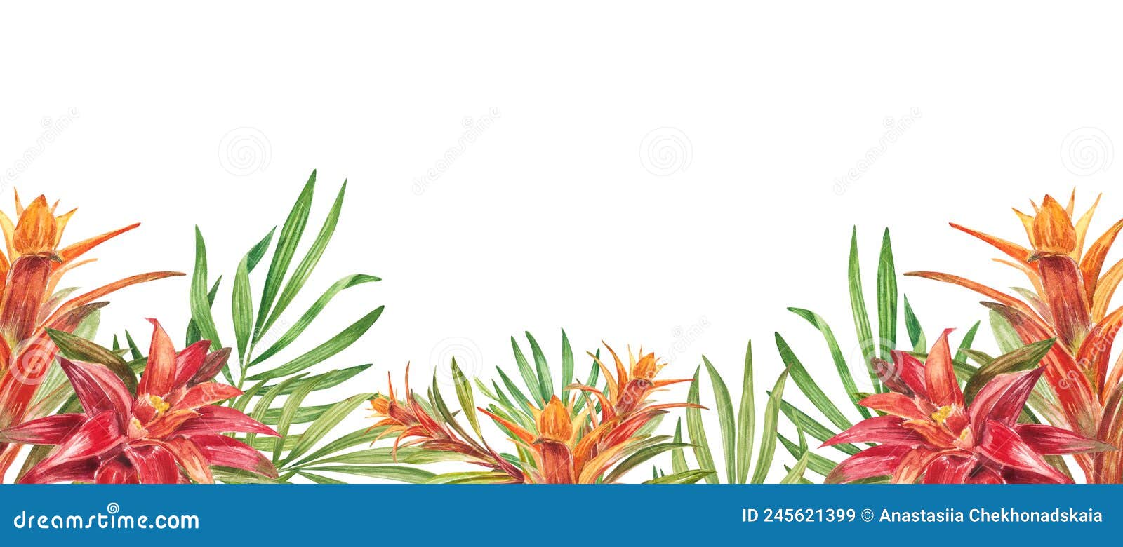 Horizontal Border with Tropical Red Flowers, Green Leaves, Bromelia ...