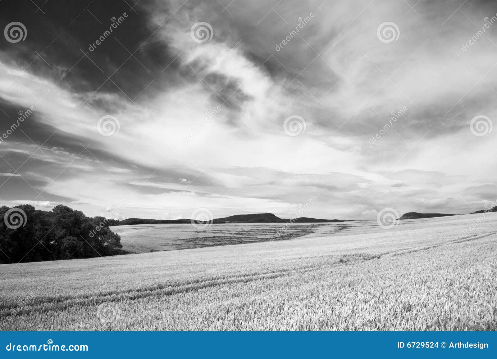 Horizontal d'agriculture avec la zone et le Cloudscape gentil