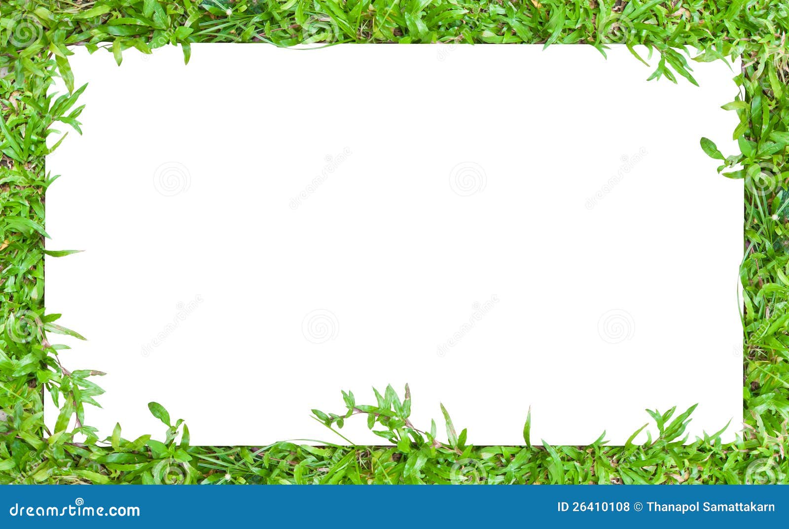 free clipart of horizontal borders - photo #20