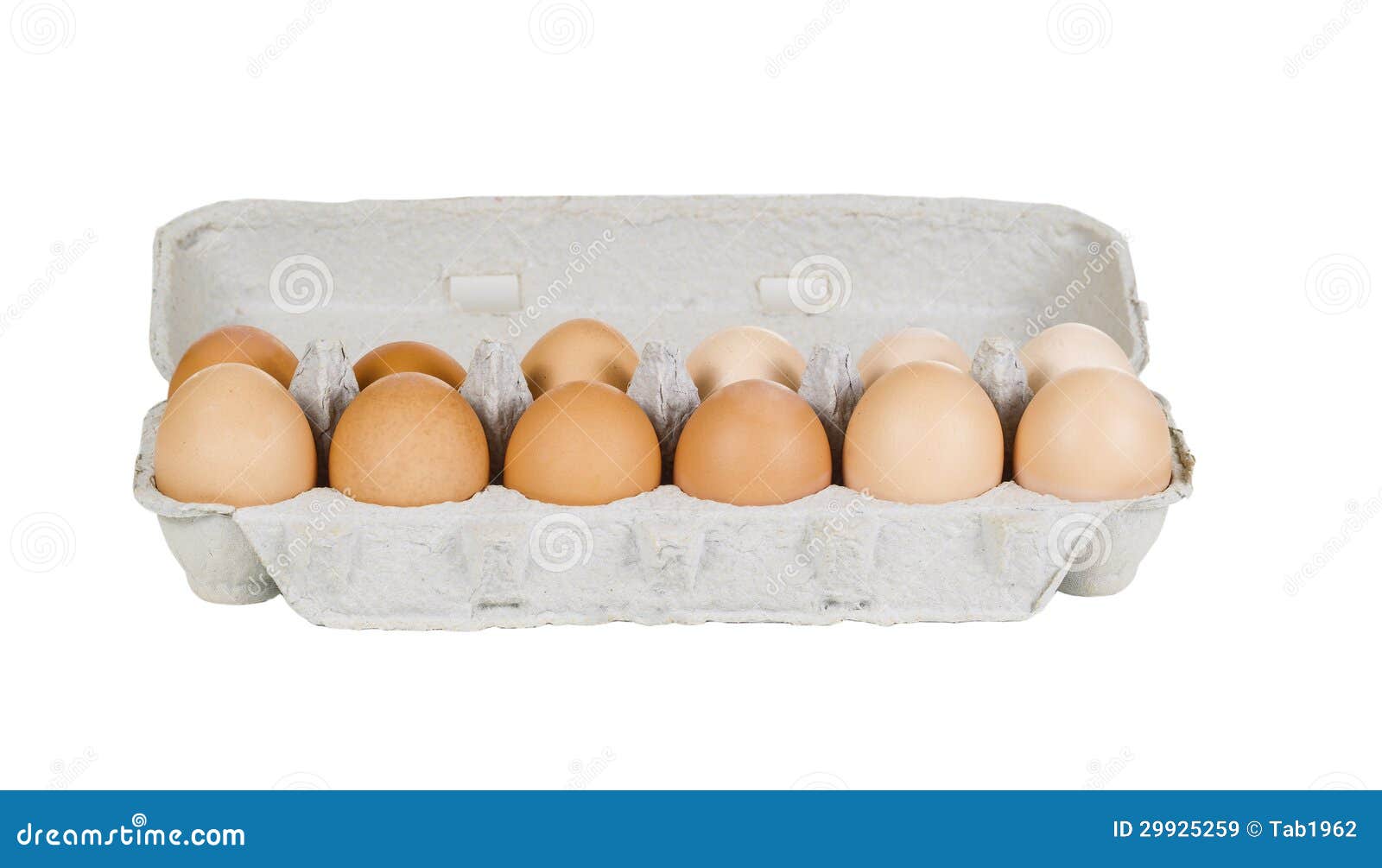 One Dozen Fresh Eggs in Carton on White Stock Image Image of
