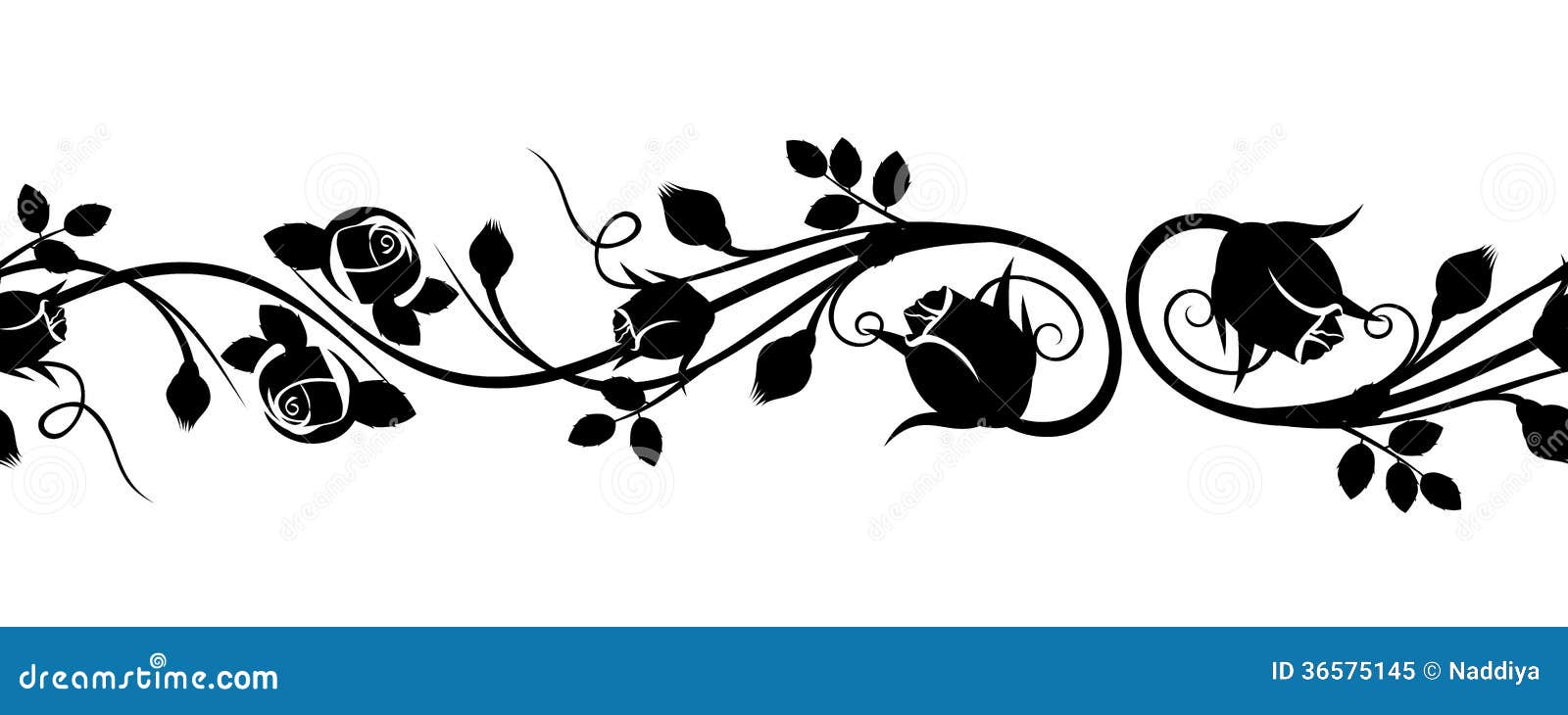 a rose sketch how Rose Horizontal Free Buds. Royalty With Seamless Vignette Stock Photo a rose sketch how Rose Horizontal Free Buds. Royalty With Seamless Vignette Stock Photo