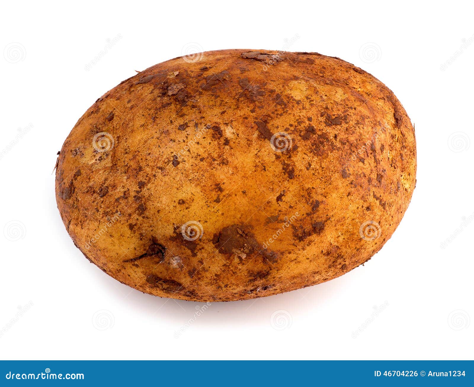 Horizontal View of Freshly Picked Russet Potato Isolated Stock Photo