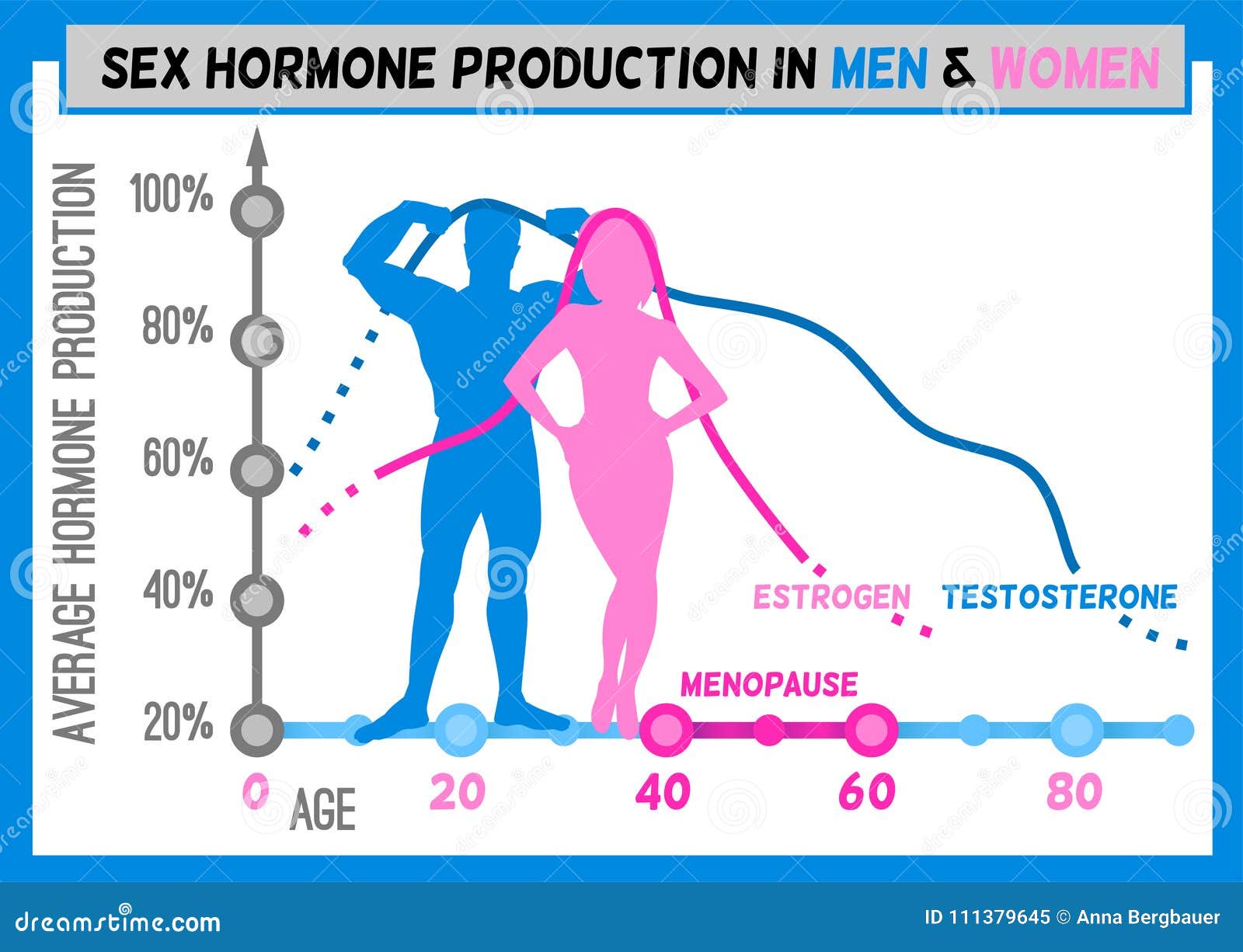 Estrogen Hormones For Men Telegraph 
