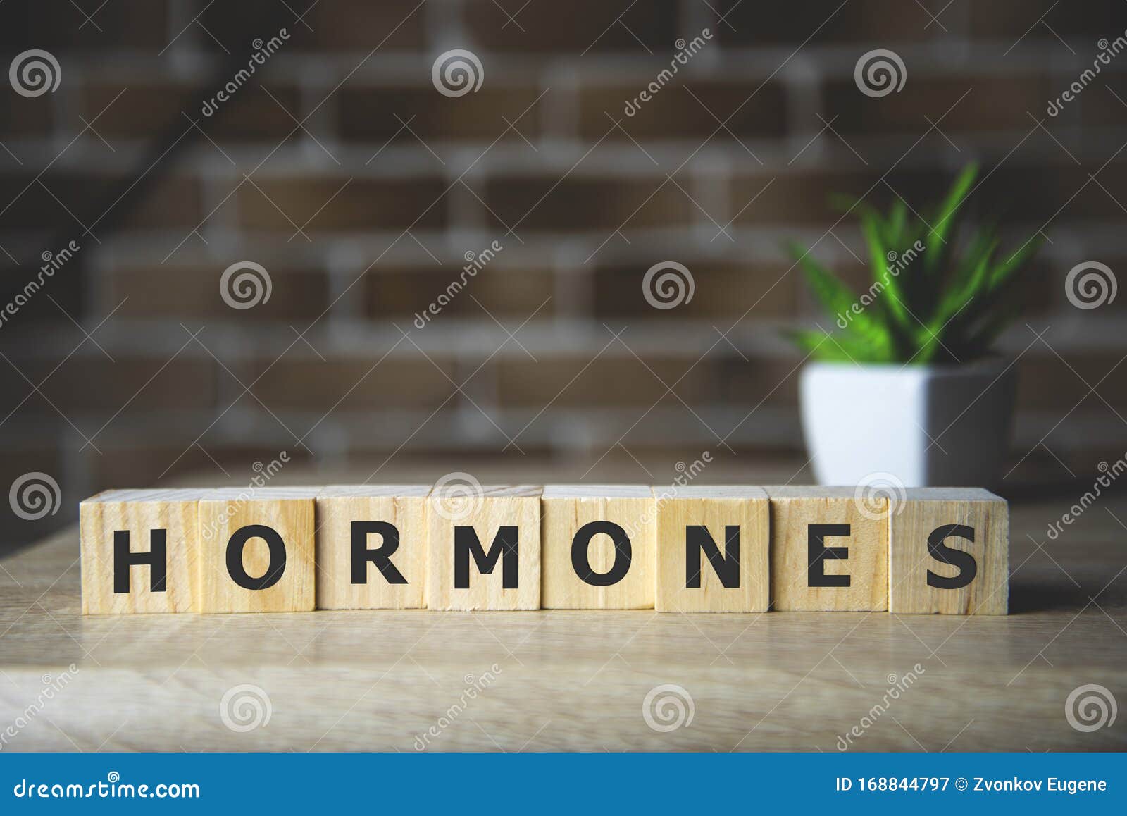 hormone word written on wood block, medical concept