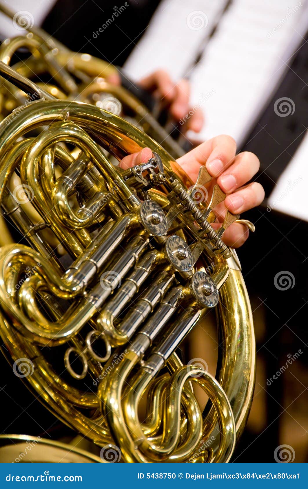 Horn player stock photo. Image of relaxation, human, orchestra 5438750