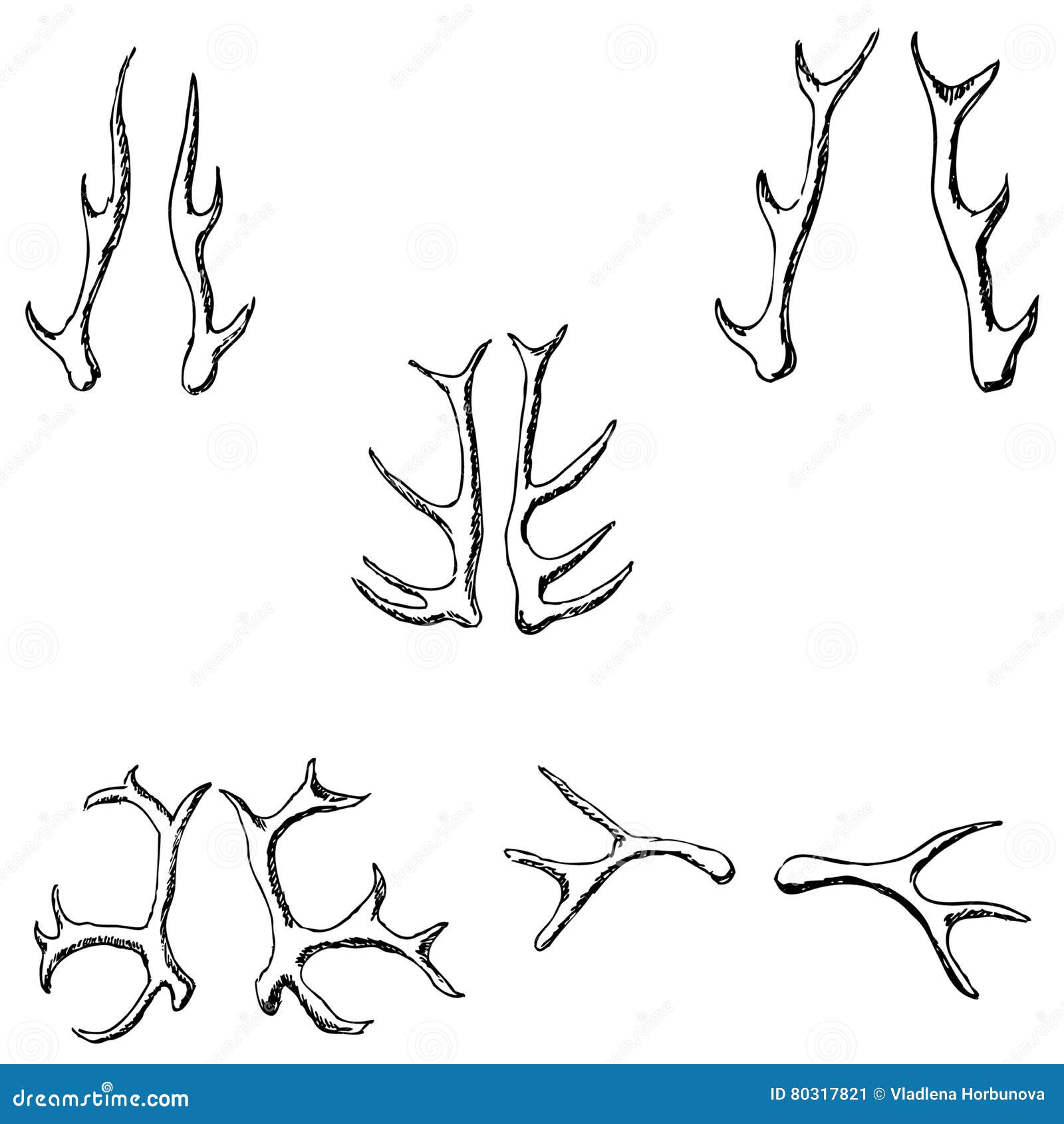 Horn Sketch of a Deer. Pencil Drawing by Hand Stock Vector