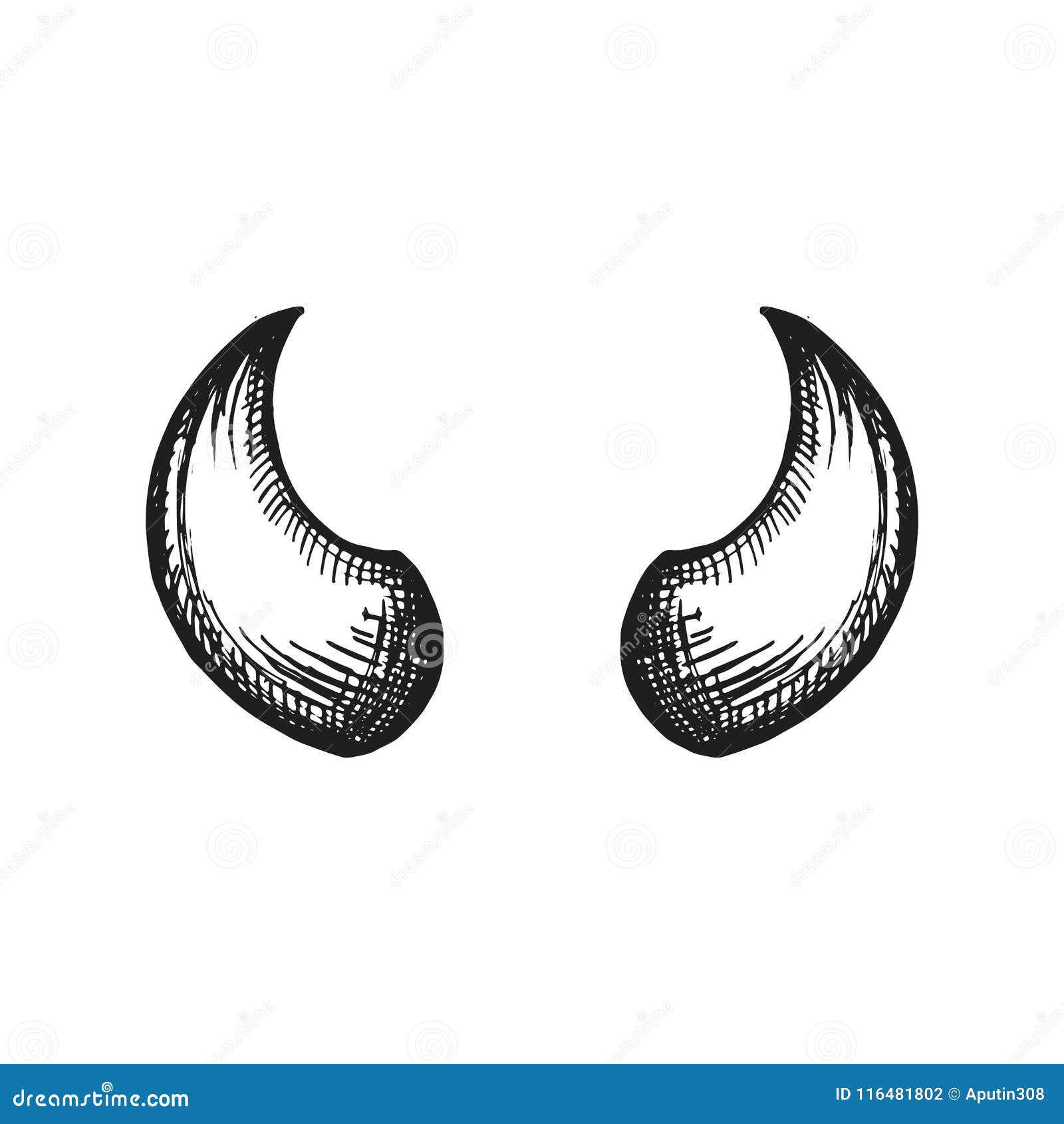 Horn Vector Sketch. Hand Drawing Stock Vector Illustration of design