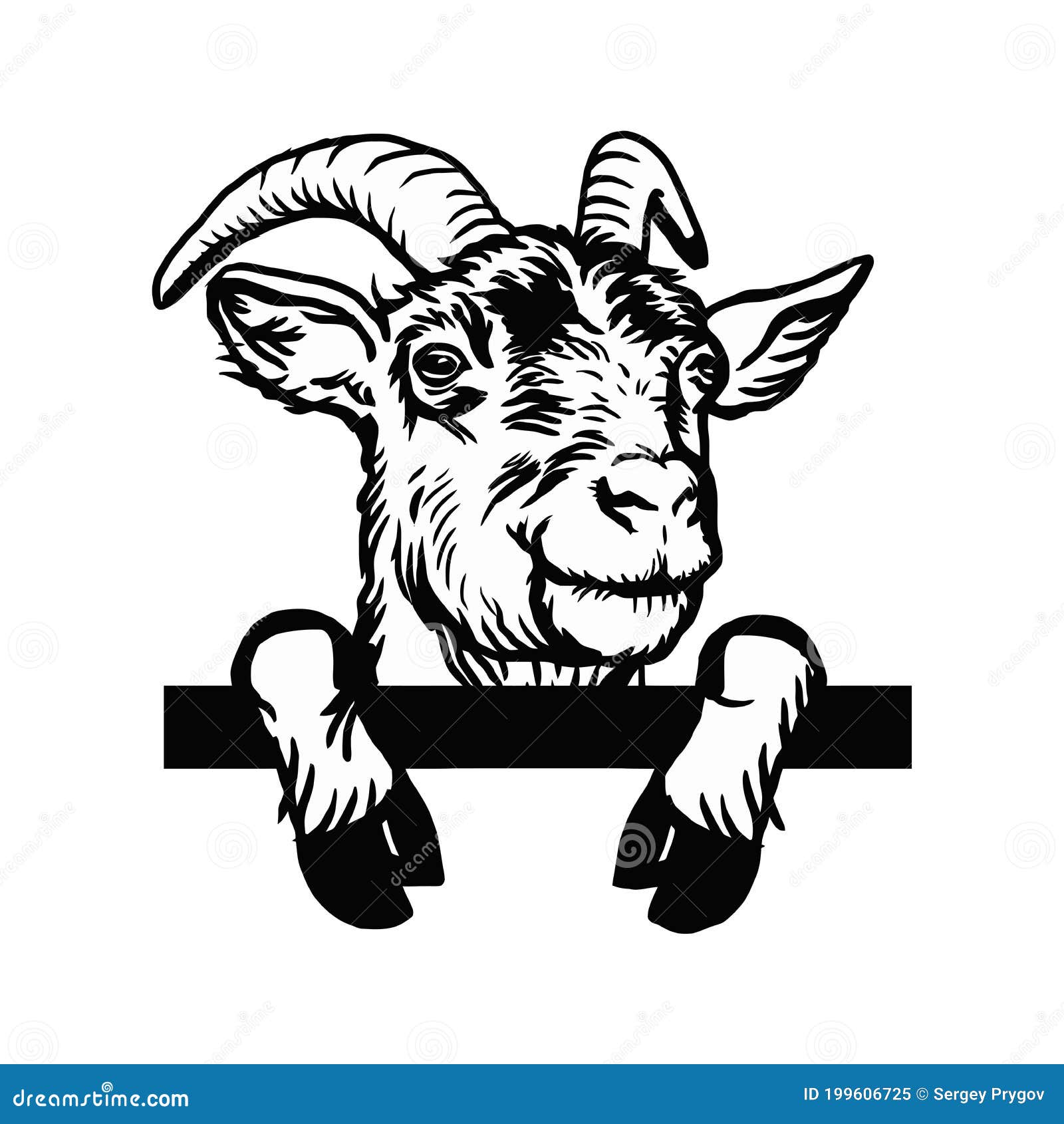 horned goat - cheeky goat peeking out - face head  on white -  stock