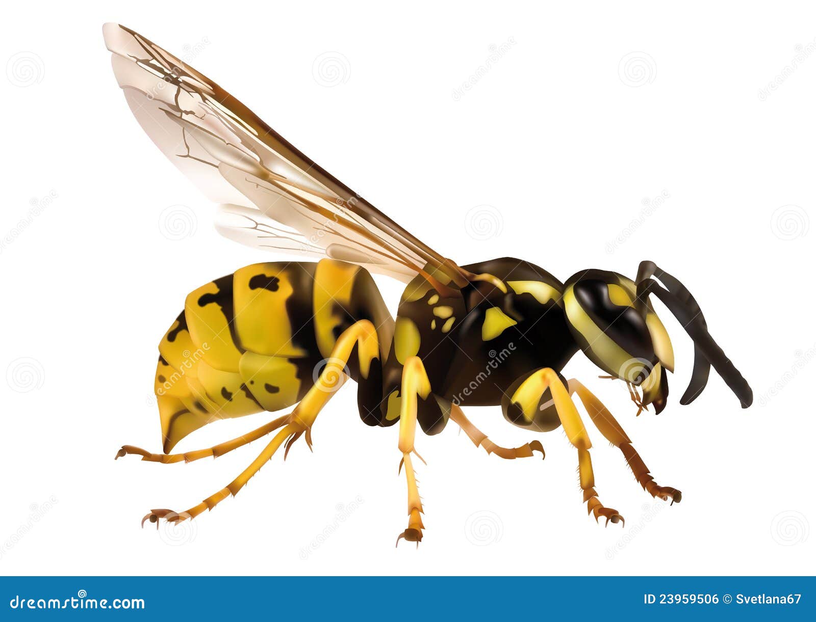 hornets nest clipart - photo #39