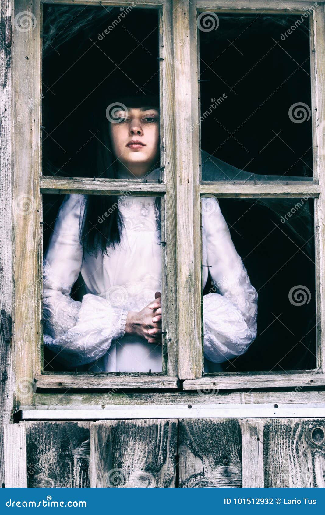 Horror Lady at the window stock photo. Image of shock 101512932