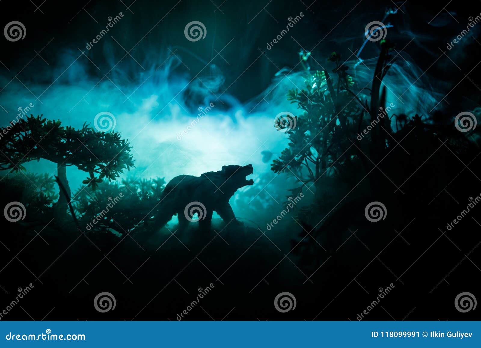angry bear behind the fire cloudy sky. the silhouette of a bear in foggy forest dark background