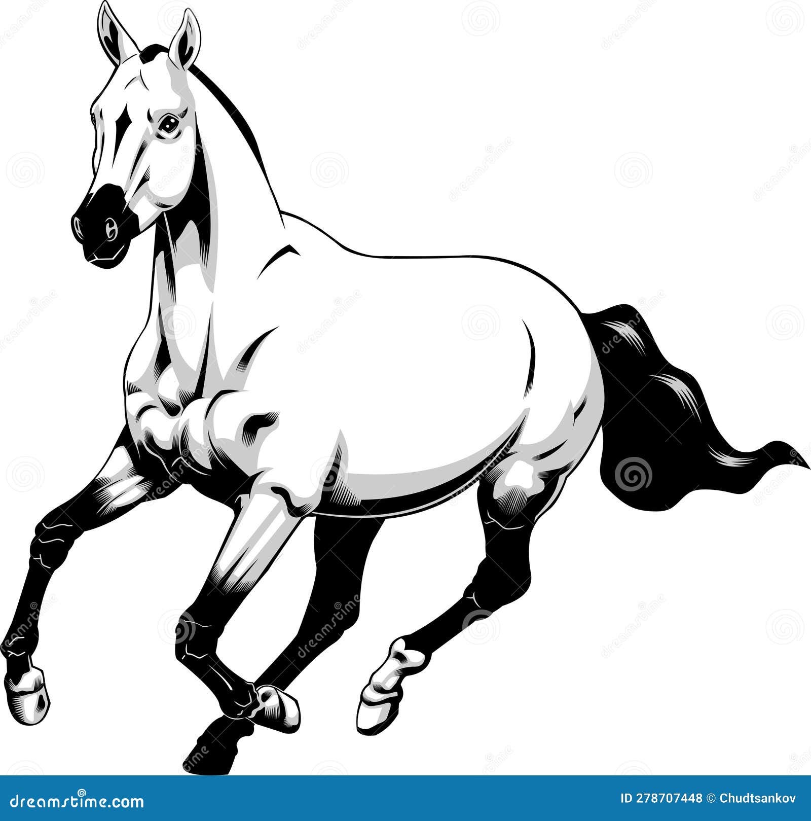 Running Horse Graphic Design Stock Vector Illustration of muscle