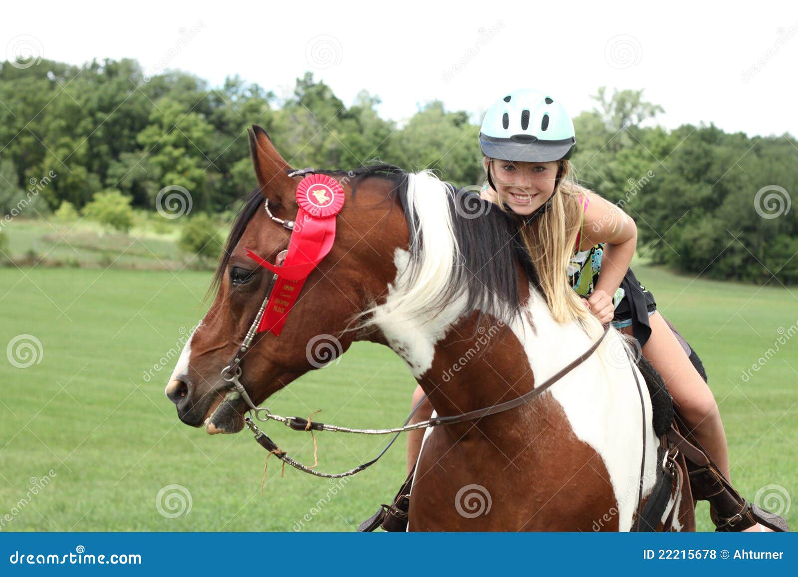 Horse Award stock photo. Image of event, power, powerful 22215678