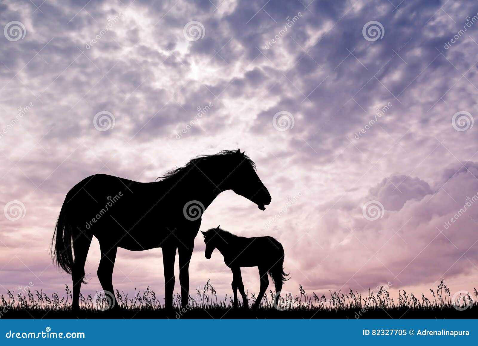 Horse born at sunset stock illustration. Illustration of nature - 82327705