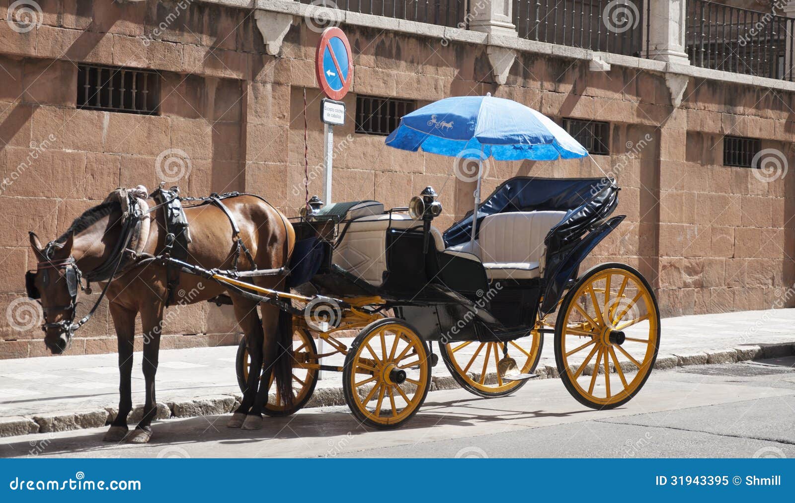 Horse car. stock image. Image of horse, typical, tourism 31943395