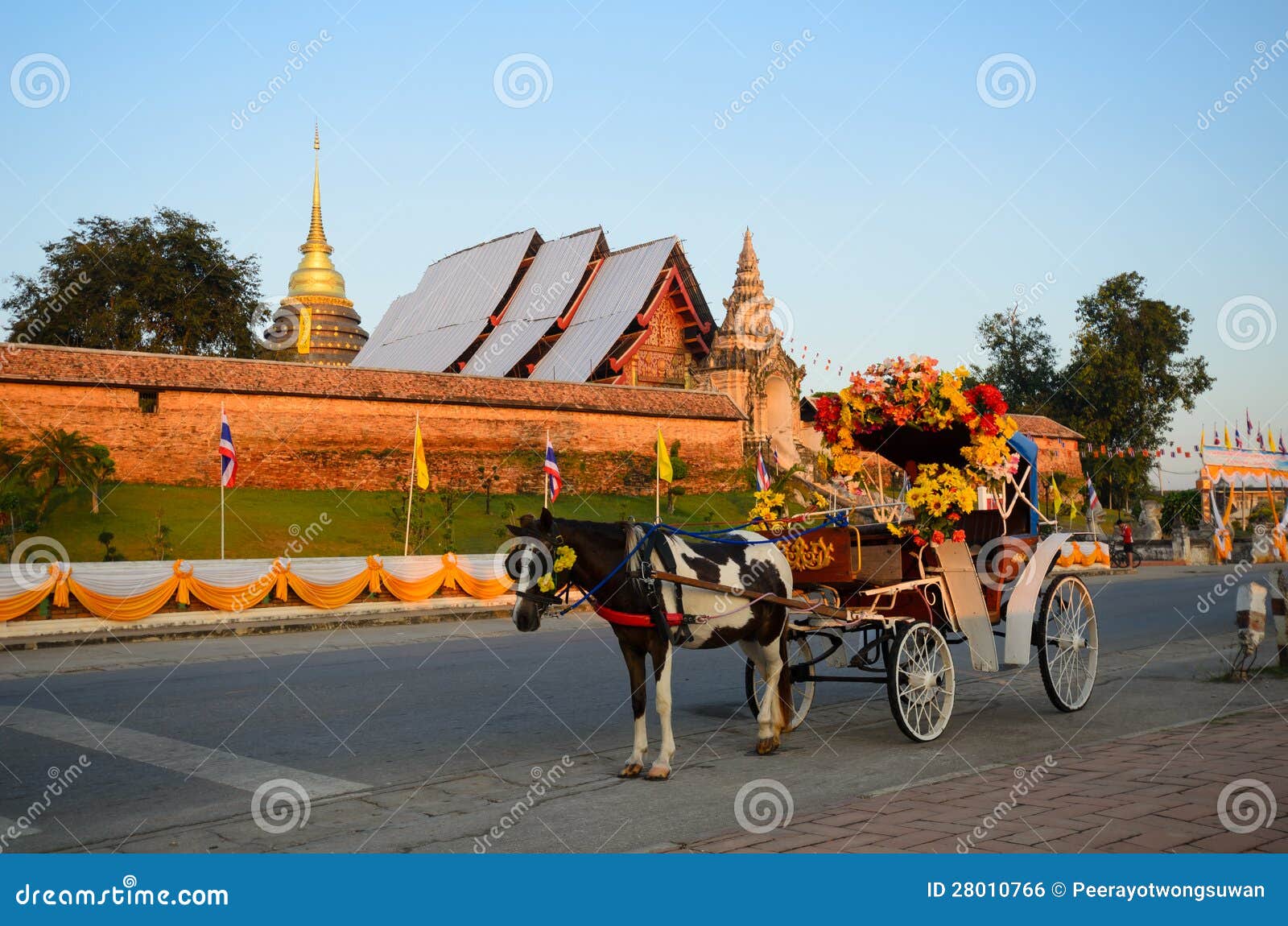 Horse carriage in lampang thailand