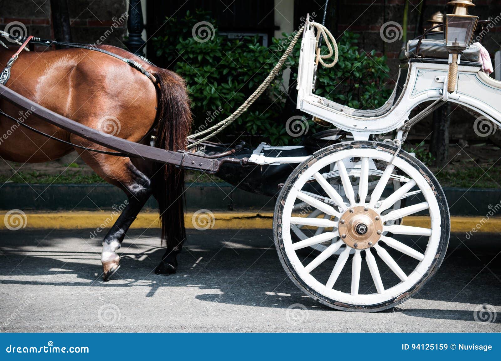 Horse&Carriage stock image. Image of carriage, cavalry 94125159