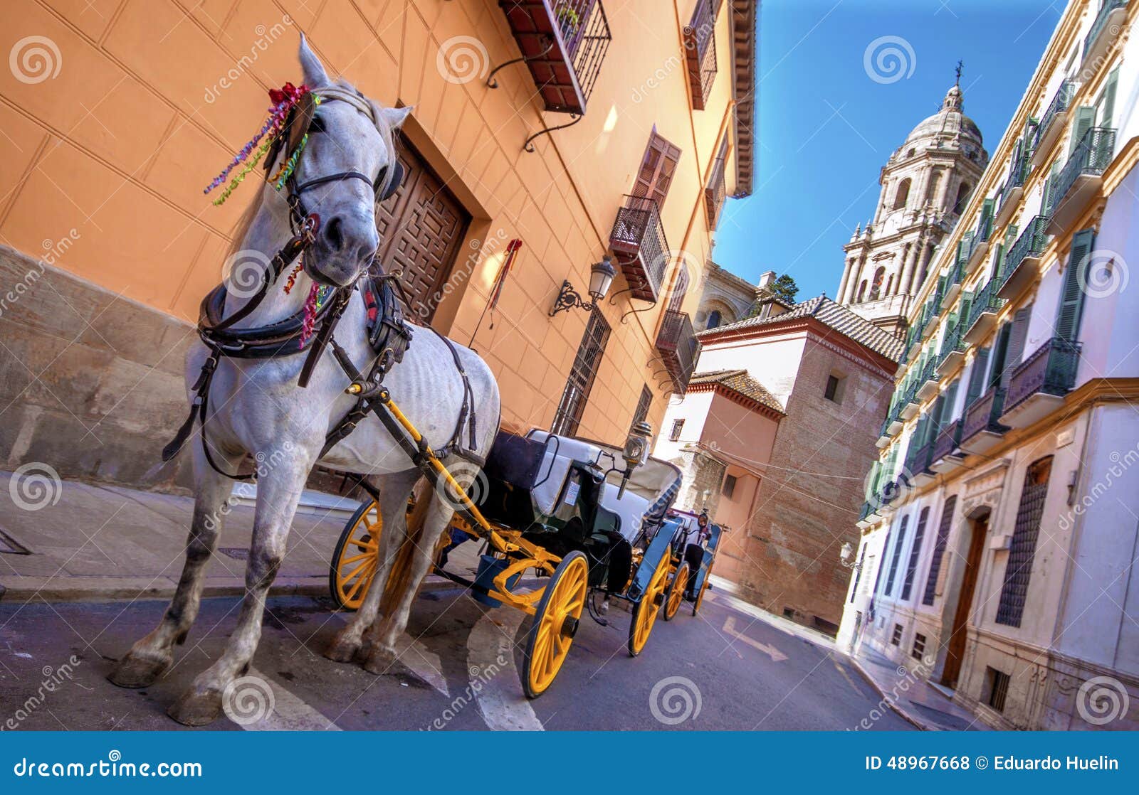 horse and carriage in the city streets in malaga, spain