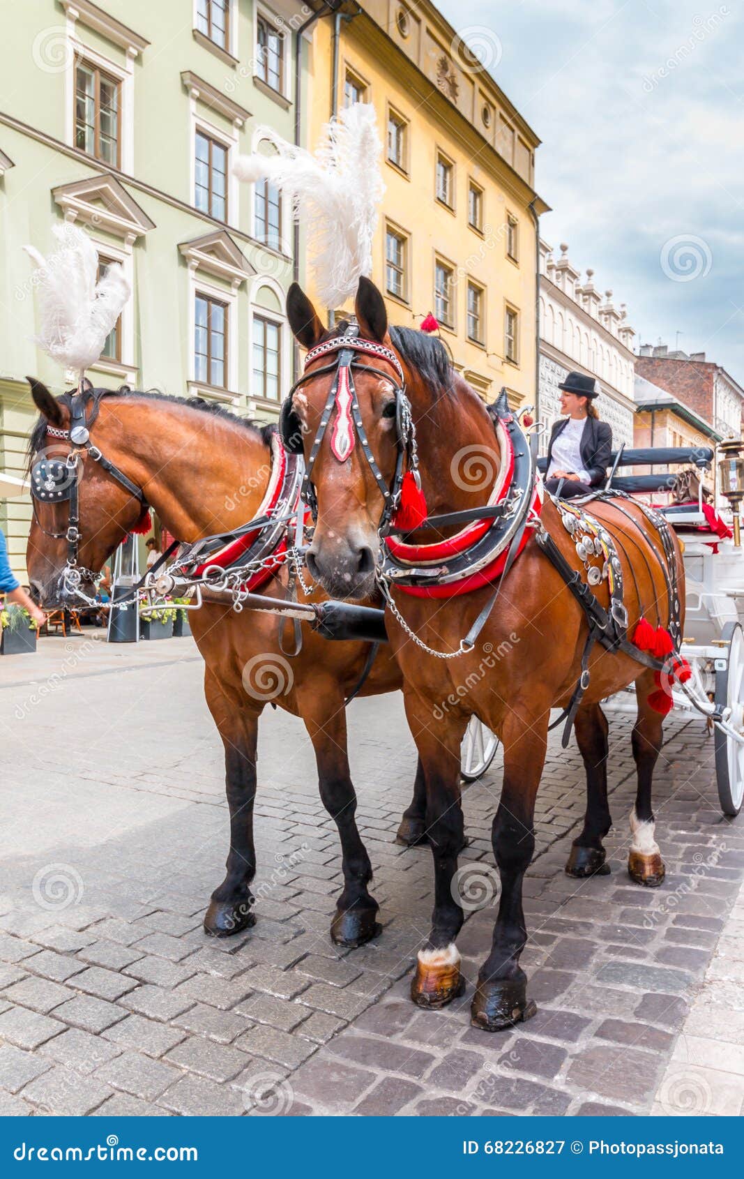 horse tour krakow