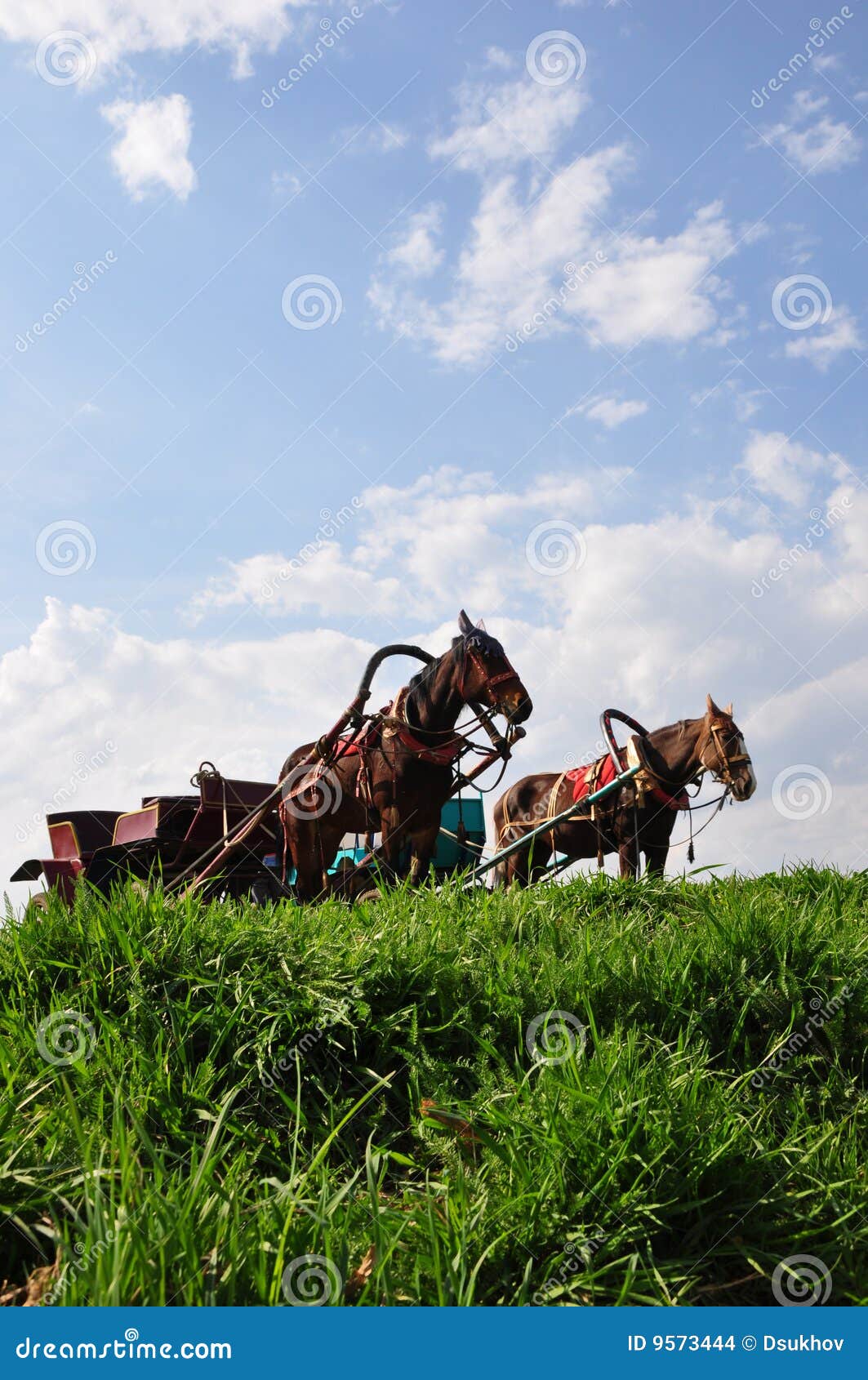 horse carriages