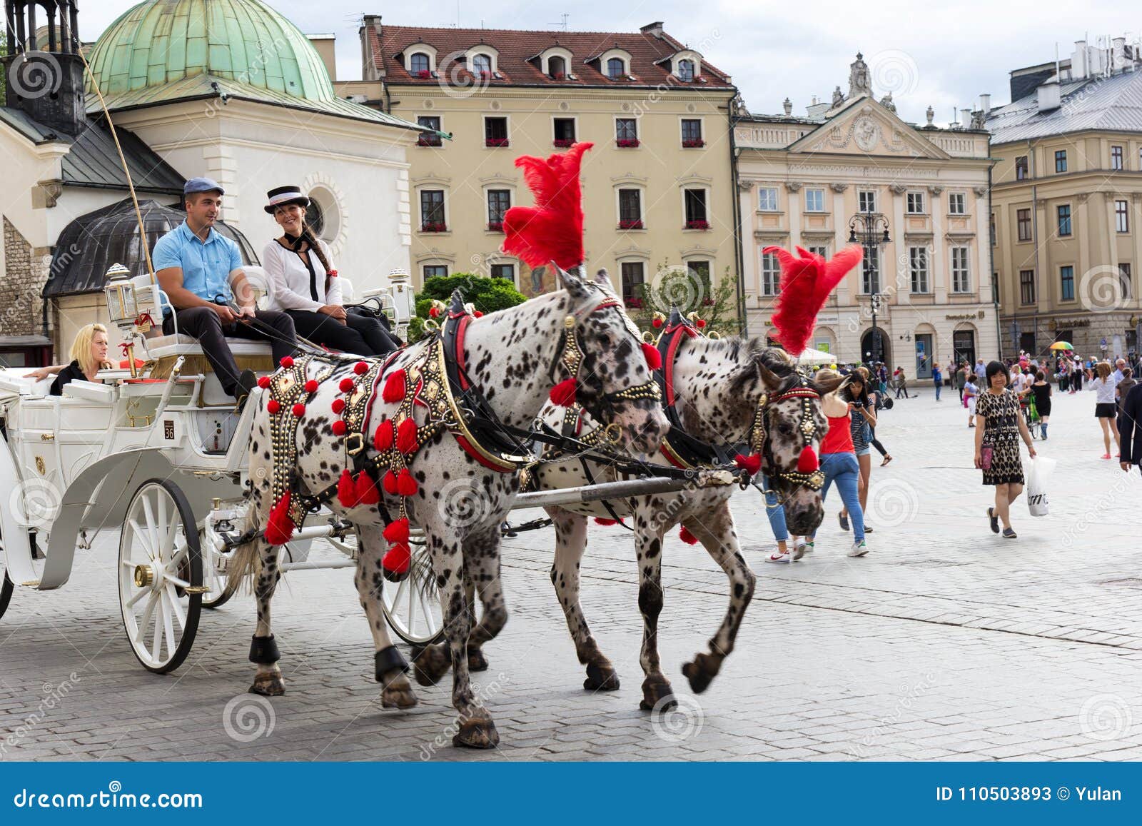Krakow Horse And Carriage
