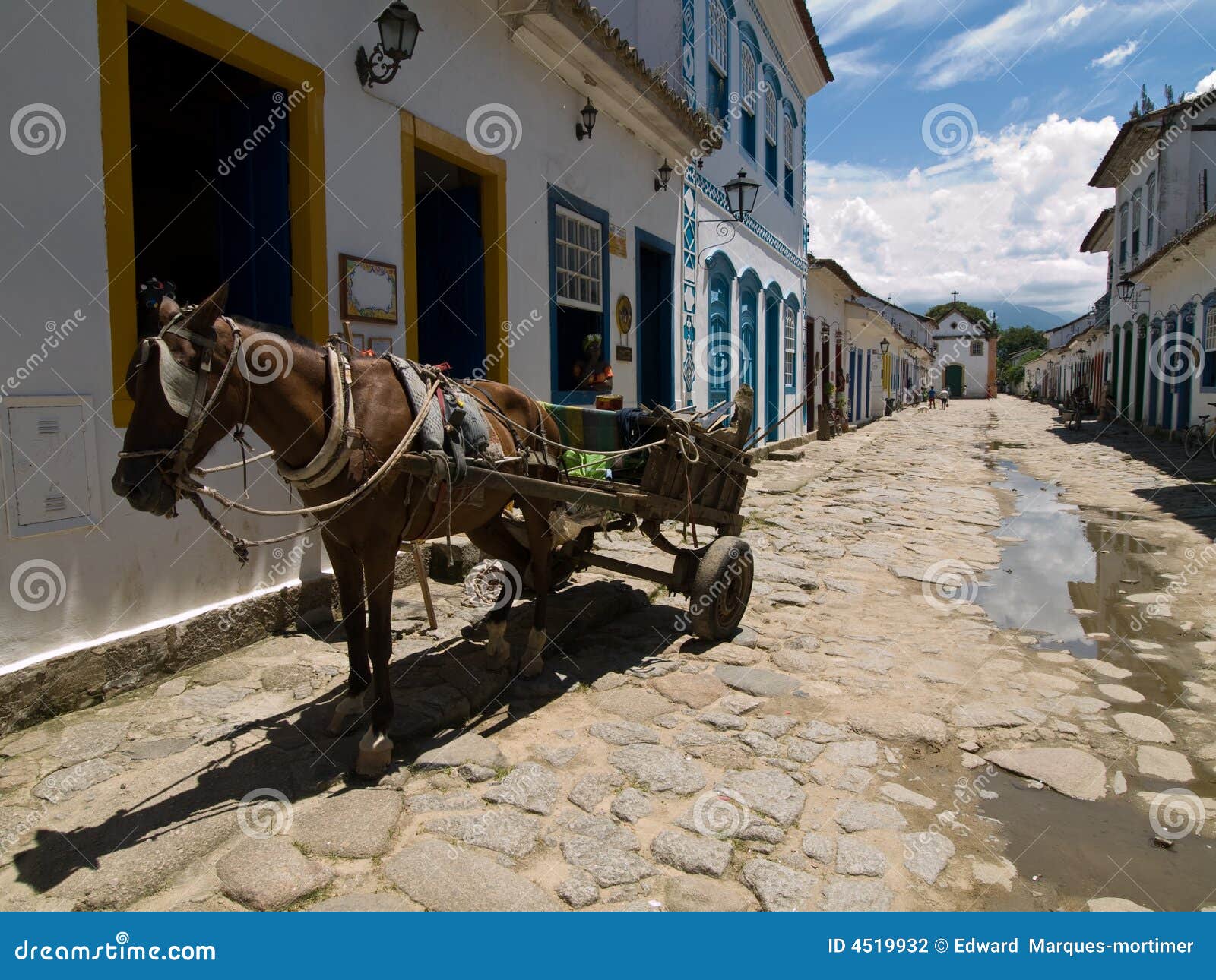 horse and cart, paraty, brazil.