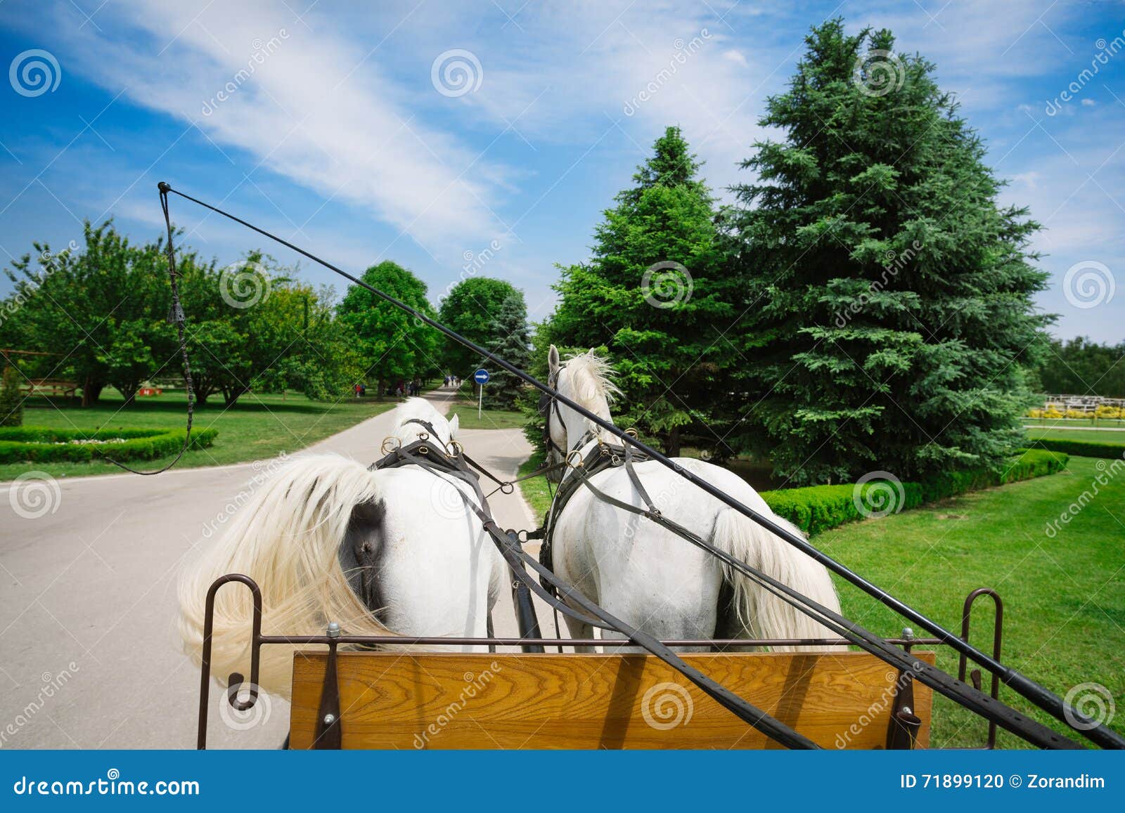 Horse and cart ride stock photo. Image of ancient, travel 71899120